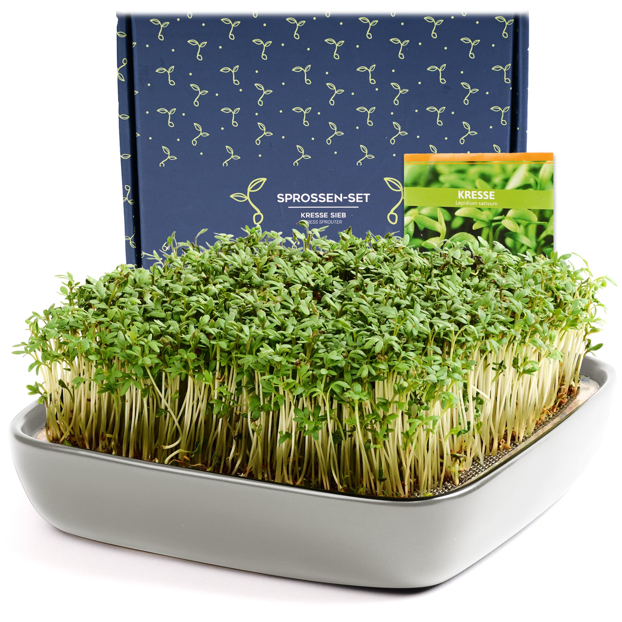 Otaro Germogliatore con Semi di crescione | Microgreens | Idroponica Kit Completo - Pronto all’Uso | Germogliatore per Semi | Semenzaio Elegante | (Grigio - Set Premium in Ceramica)