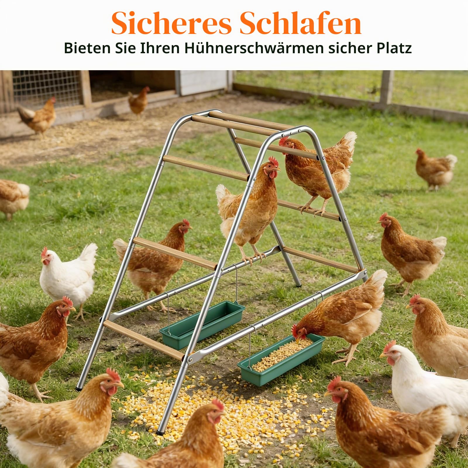 Hühnerstall Spielset, Sitzstangen für Hühner, Kombiniertes Hühnerspielzeug | Für Artgerechte Beschäftigung, Sitzstange aus Holz, Doppelleiterklettern und Füttern, für Hühnerstall und Hinterhofgeflügel
