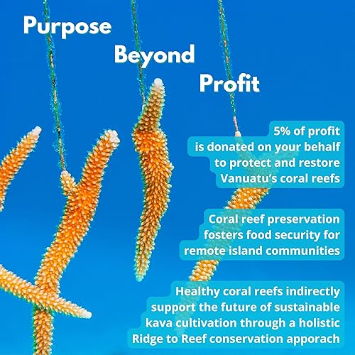 Miniatura 6 de Polvo de kava kava - Silese  Pesado y relajante  Alivio del estrés - tensión  No micronizado  Jugo de kava noble instantáneo deshidratado (sileso,