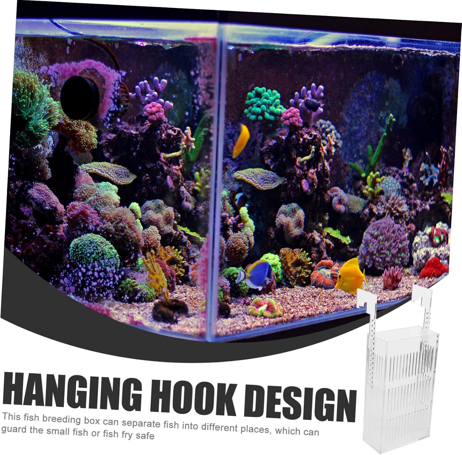 Acrylic Fish Breeding Box Divider Mini Aquarium Incubator for Guppies and Betta Fish Hanging Breeder Tank Suction Cups