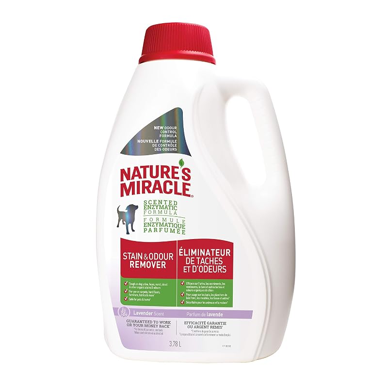 Removedor de Manchas e Odores para Cães Nature's Miracle, Lavanda, 3,84 L