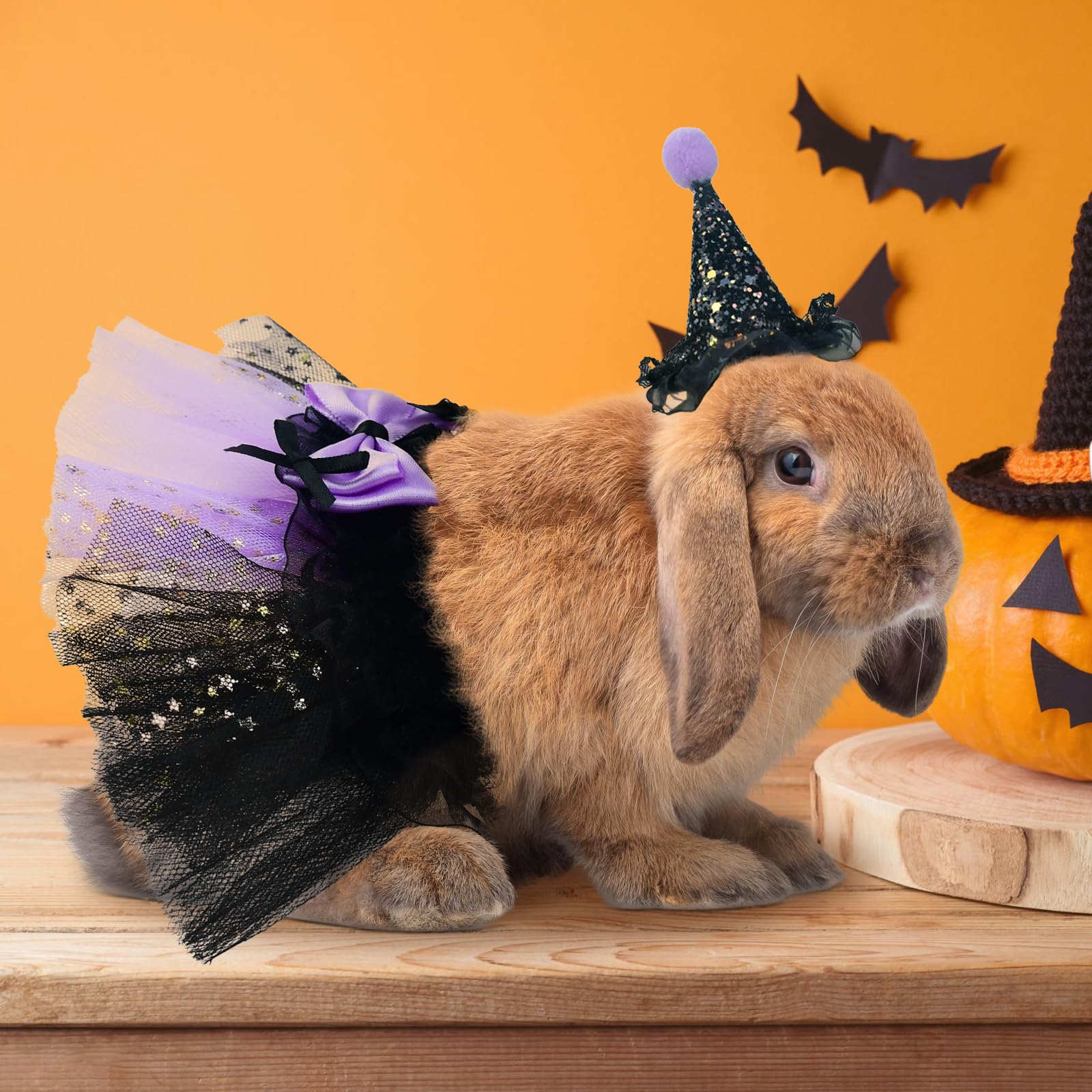 Haustier Halloween Hexenkostüm Für Katzen – Lila Hexenhut & Schwarzer Tutu-Rock, Handgefertigt