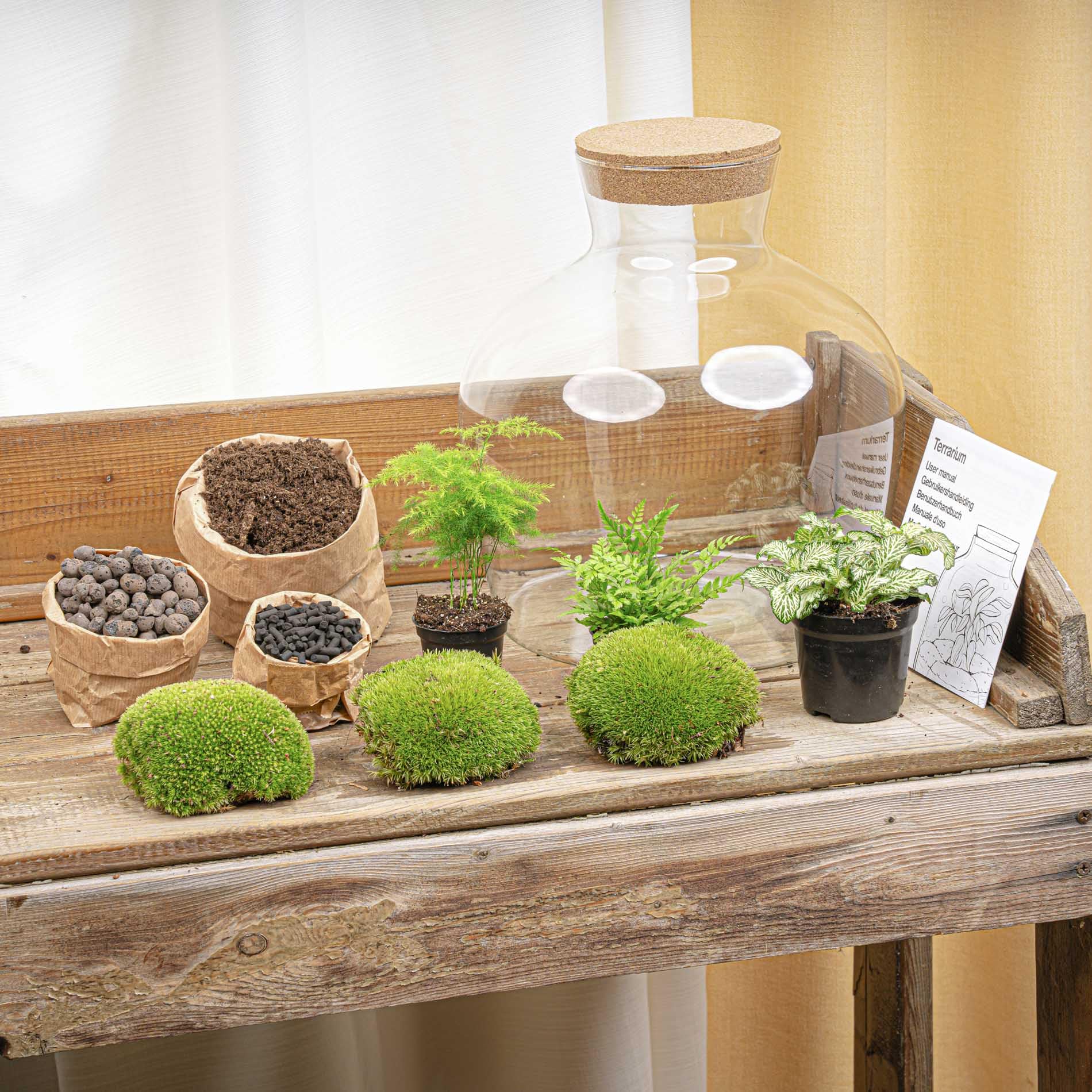 urbanjngl - Fat Joe Terrarium Grün - DIY Kit mit Licht - Pflanzene kosystem - Ø 29 cm, Höhe 30 cm - Ideal für Pflanzenliebhaber und kreative Dekoration