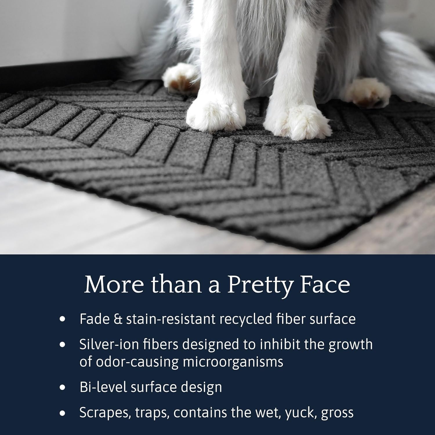 Matterly WaterHog Luxe in Vein Front Door Mat Indoor Outdoor Entrance, All-Weather Doormat with Rubber Backing, Dirt & Moisture Trapper, Low Profile & Easy Clean, Made in USA, 21.5"x70" Graphite