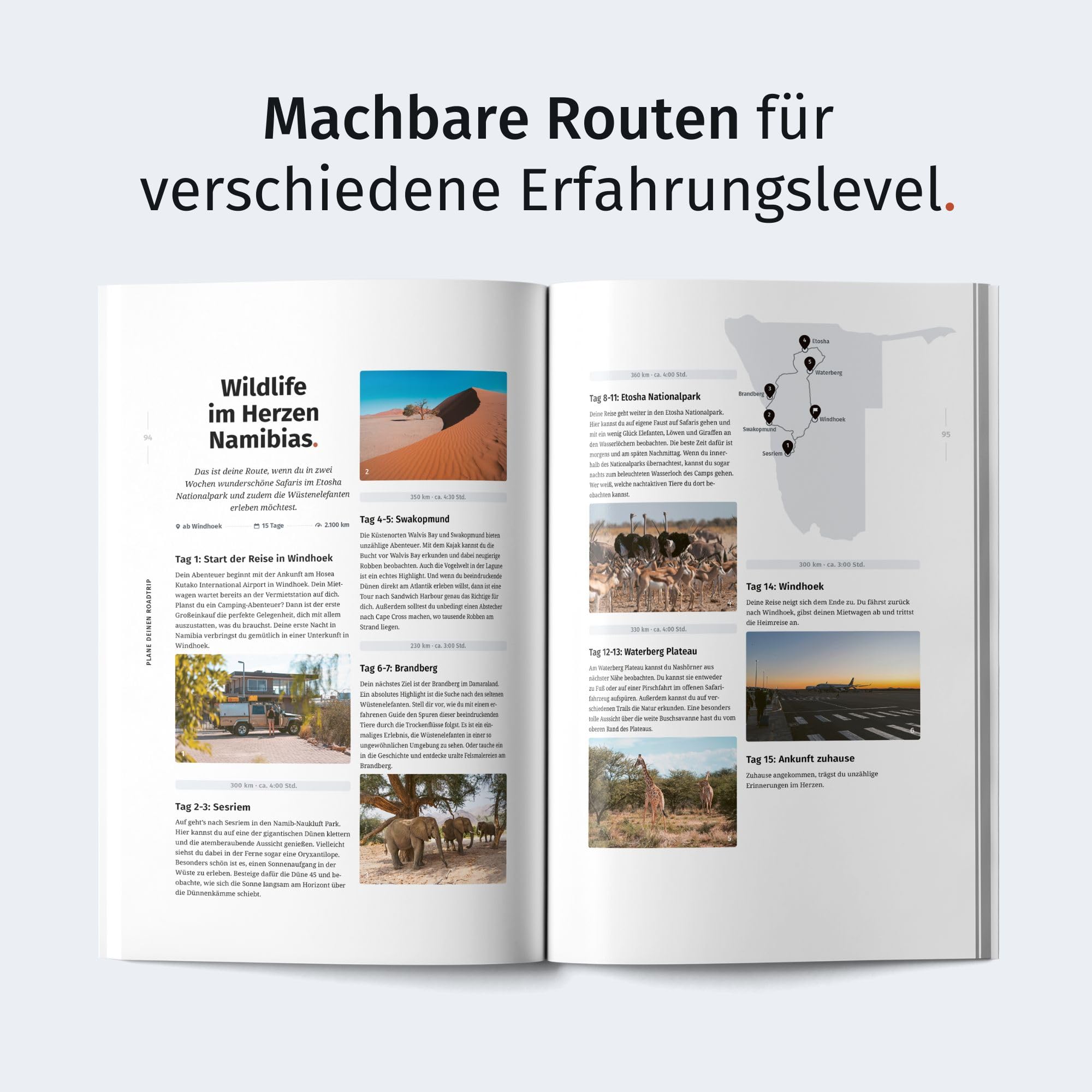 WILDLIFE TOUR GUIDE Reiseführer Namibia: Dein ultimativer Roadtrip-Guide für unvergessliche Tierbeobachtungen als Selbstfahrer (inkl. Etosha-Karte und App)