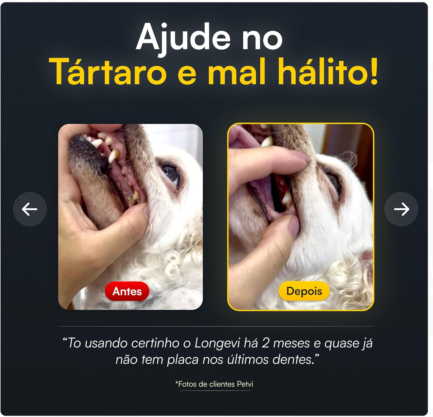Longevi Tabletes Mastigáveis para Cães | Super Suplemento Canino para Imunidade, Queda de Pelos e Energia | 150g | Formulado por Veterinários – PETVI Longevi Tabletes Mastigáveis para Cães | Super Suplemento Canino para Imunidade, Queda de Pelos e Energia | 150g | Formulado por Veterinários – PETVI