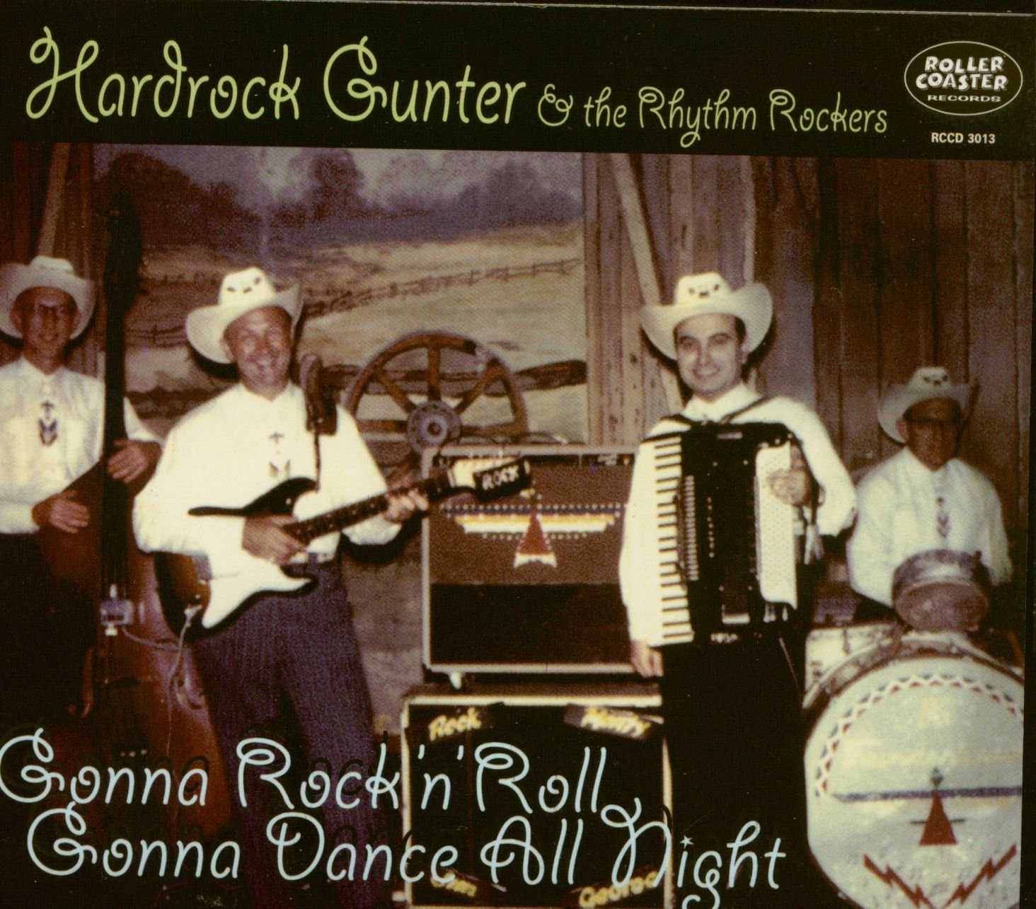 Gonna Rock 'N' Roll, Gonna Dance All Night