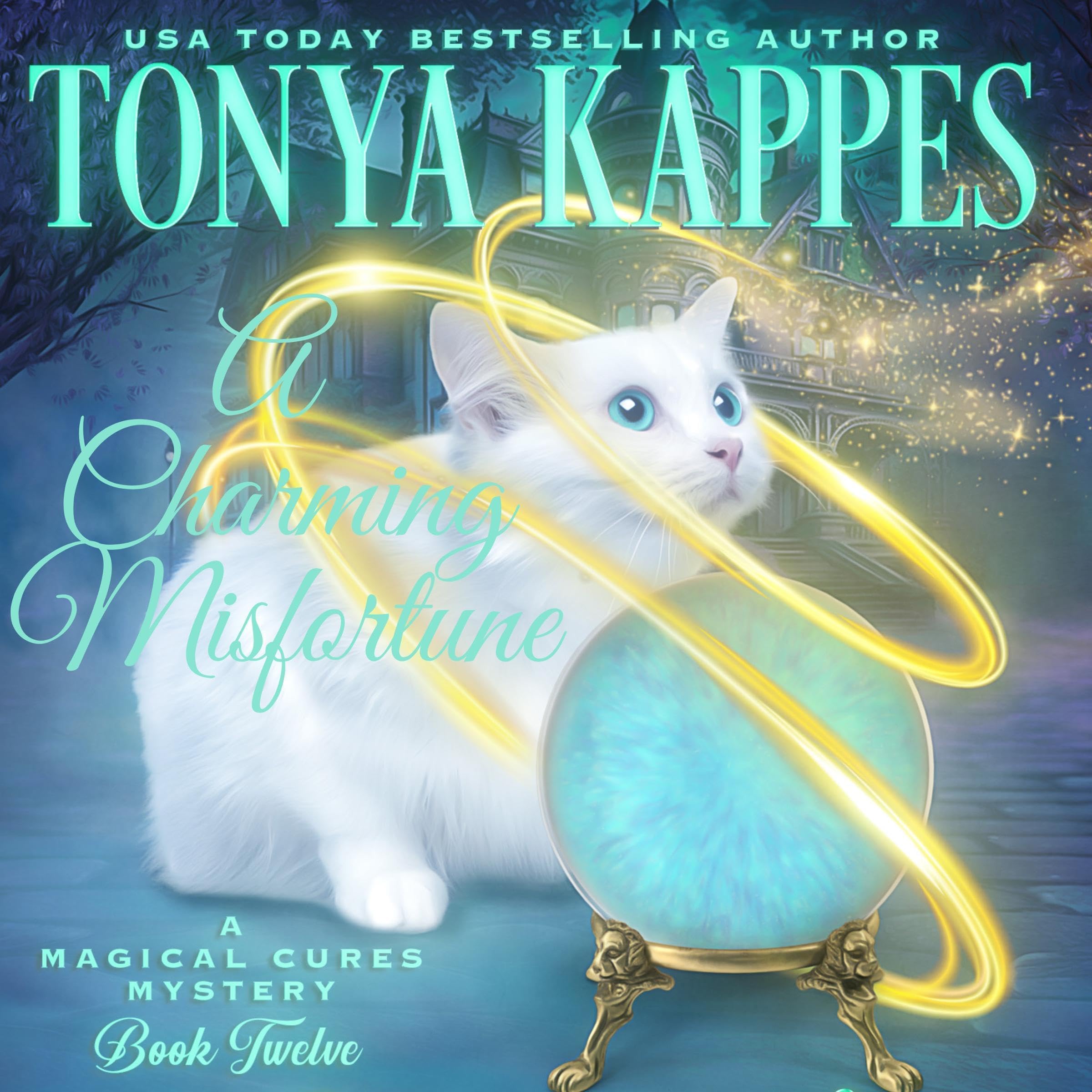 Cover art for A Charming Misfortune