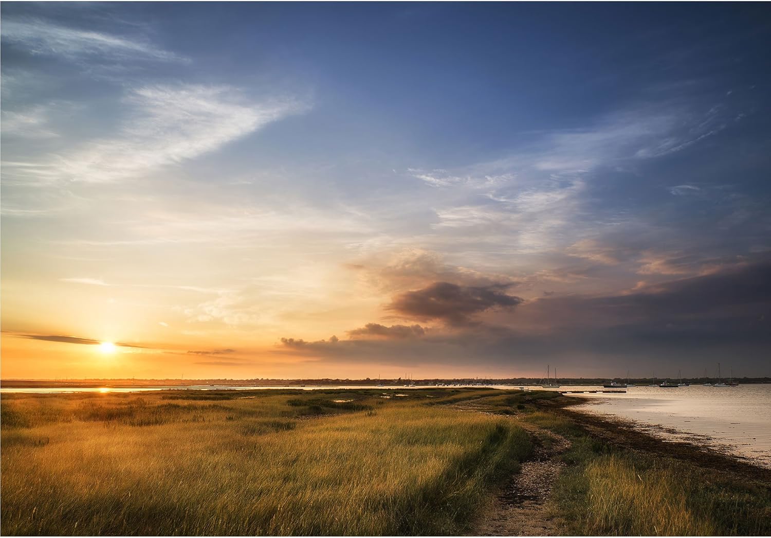 wall26 - Beautful Summer Sunset Landscape Over Wetlands and Harbour - Removable Wall Mural | Self-Adhesive Large Wallpaper - 66x96 inches