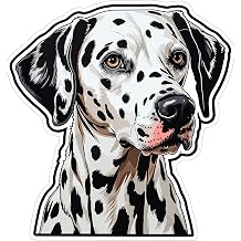 No Thorns Media - Dalmatian Sticker | Vinyl Stickers & Waterproof Decals | Assorted Aesthetic Stickers for Laptops, Water Bottles, Phones & More | Cool Stickers for Adults, Teens | 1 Pack 4 x4x0.1"
