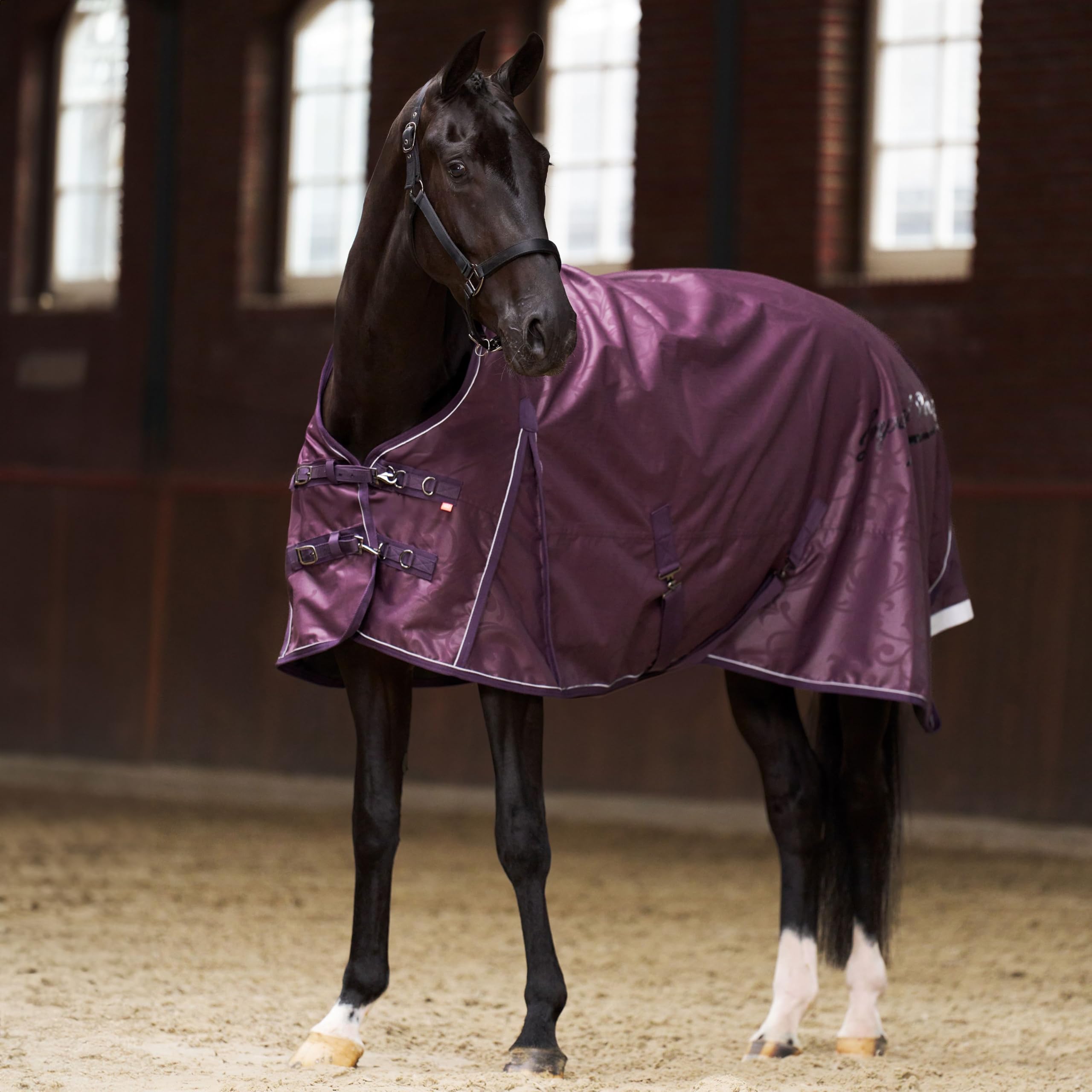 Imperial Riding IRH Super-Dry Outdoor Blanket, 300 g, Waterproof & Breathable, 600D Polyester, 300 g Filling, Warm Winter Blanket for Horses, Robust & Easy Care, Fig, 115