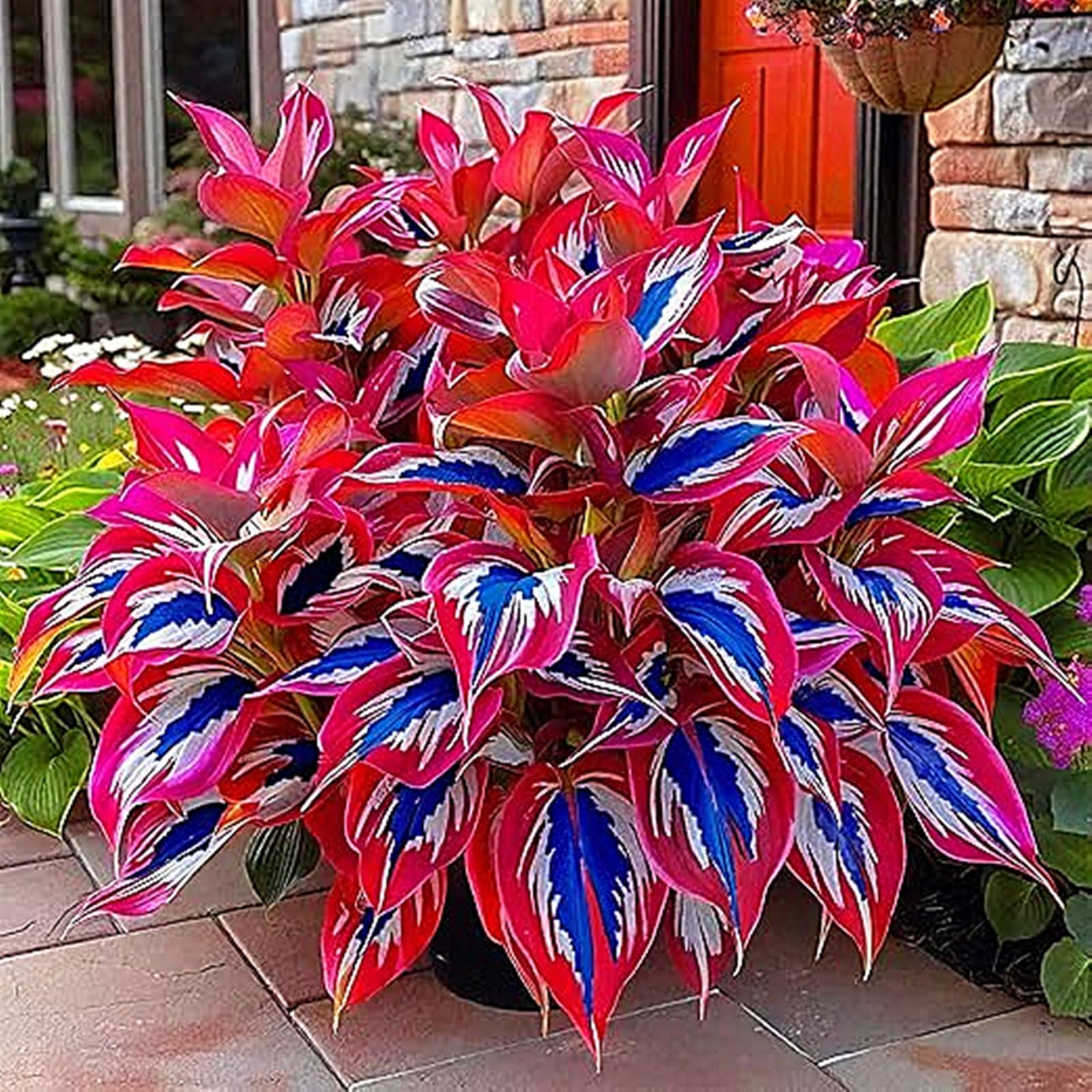 Mix Hosta Plant Now, Surprise Growth, Garden Decoration, No Watering Required, Easy to Maintain, Suitable for Autumn-10 Bulbs-F