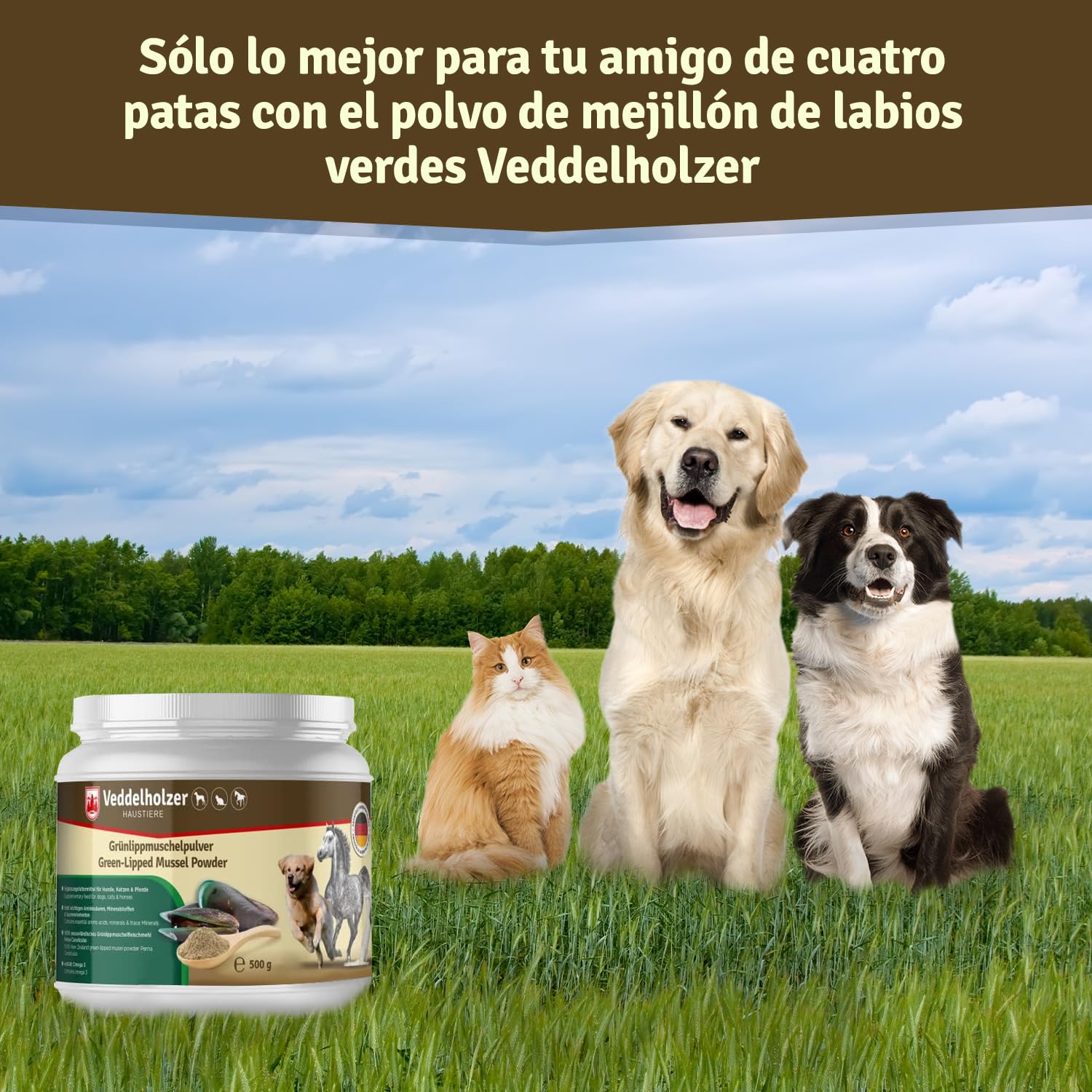Veddelholzer - Polvo de mejillón Verde Natural para Perros, 500 g, extracto de Labio Verde con Alta aceptación en Todos los Perros condroprotector