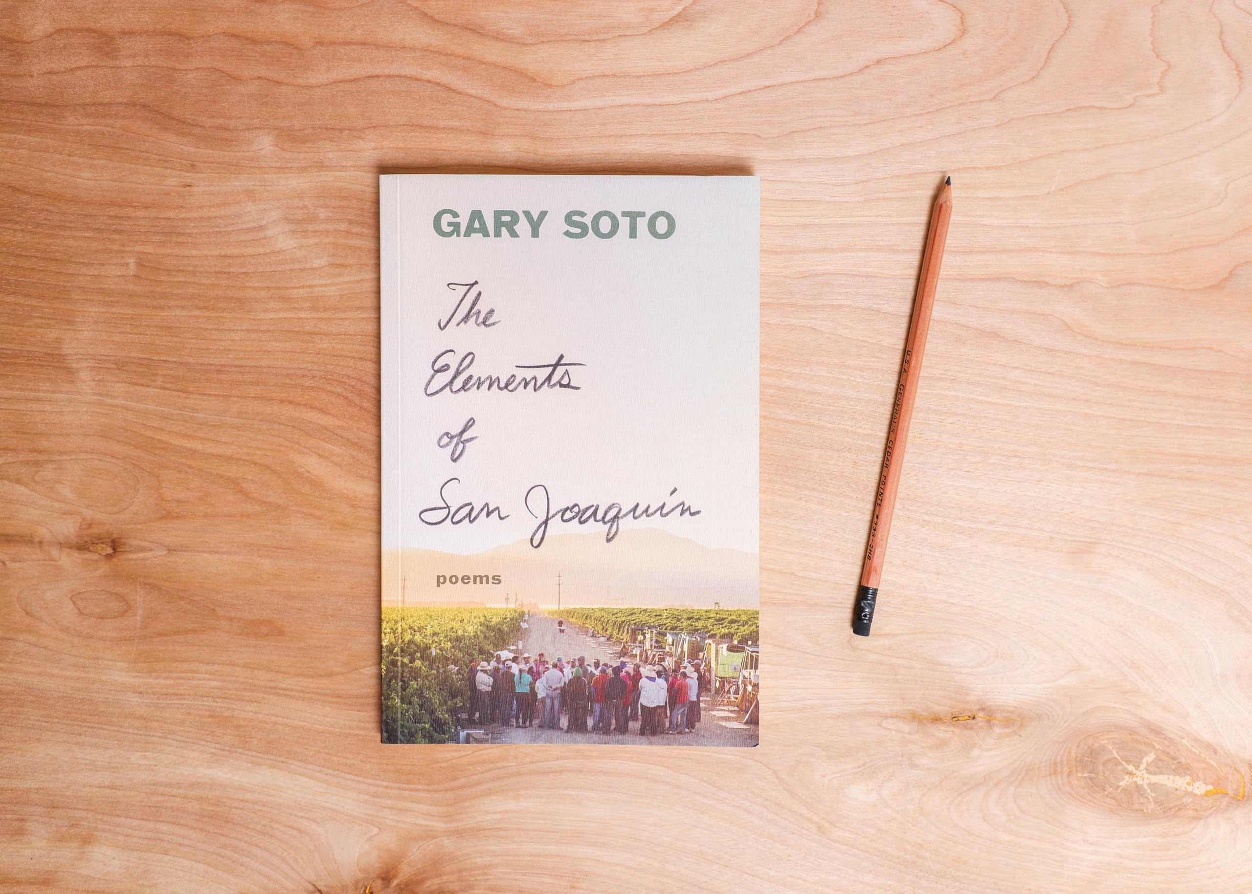 The Elements of San Joaquin: poems (Chicano Poetry, Poems from Prison, Poetry Book) - Image 6