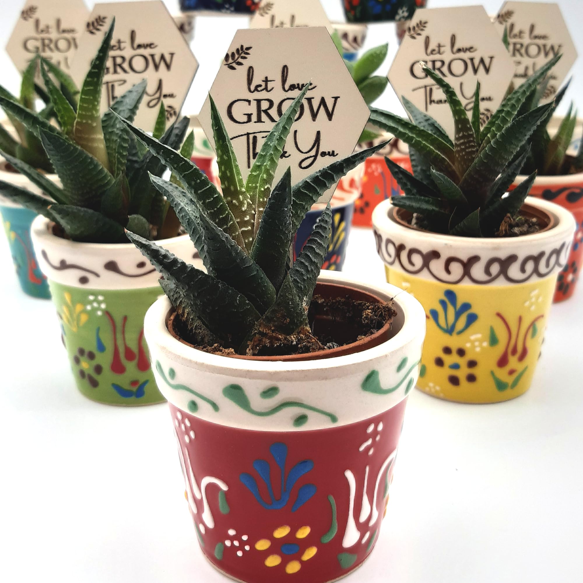 Bomboniere per ospiti, 16 set di vasi per piante grasse con etichette in legno per regali di addio al nubilato, vaso in ceramica per bomboniere baby shower, elegante bomboniera di ritorno