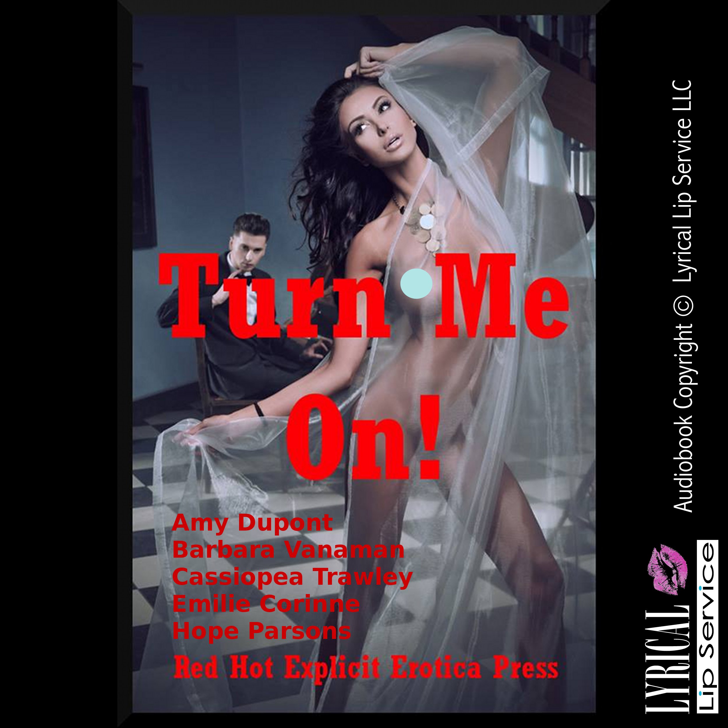 Turn Me On! Five Explicit Erotica Stories