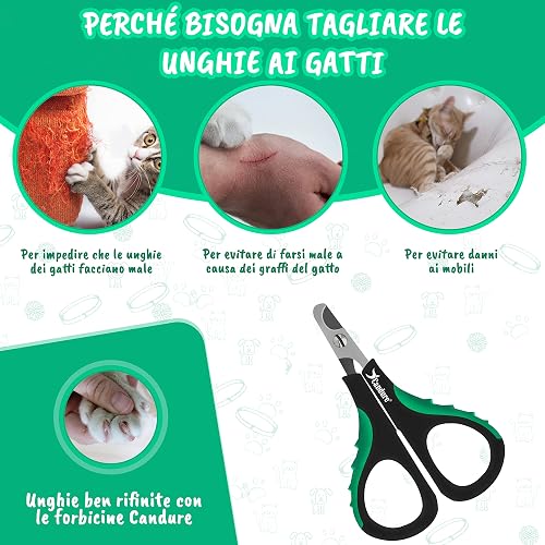 CANDURE Tagliaunghie Cane e Gatto con Guardia per Protezione Cani - Acciaio Inossidabile Tagliaunghie Gatto Professionale per Veterinaria e Uso Personale (Verde Chiaro, S Piccolo) - 2