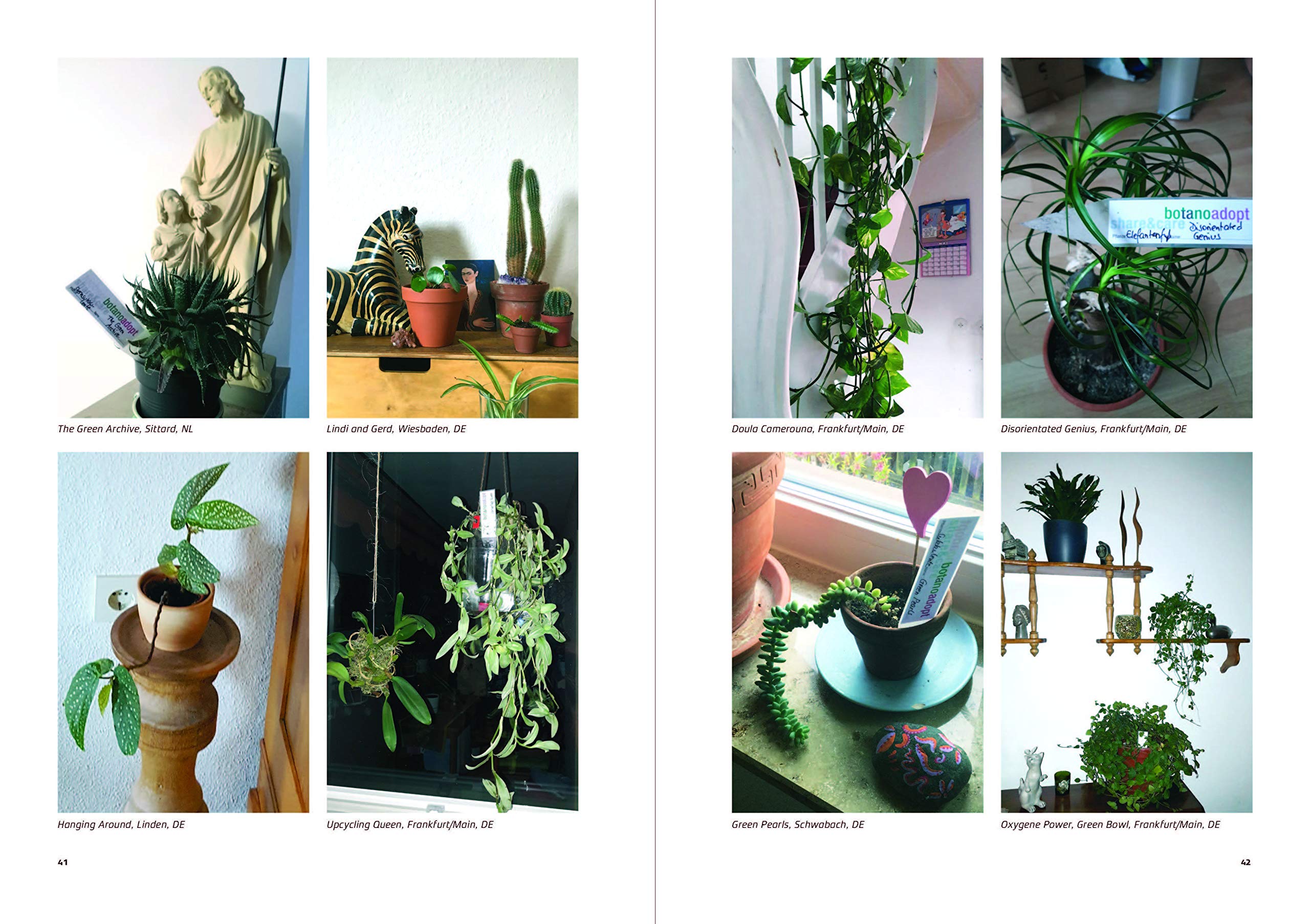 Urban Plants: Bio-Biographies