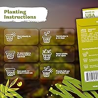 Vista 3 de KVITER 1800 semillas de albahaca genovesa para plantar (Ocimum basilicum) – Albahaca italiana dulce salada clásica – Semillas sin OMG y reliquia