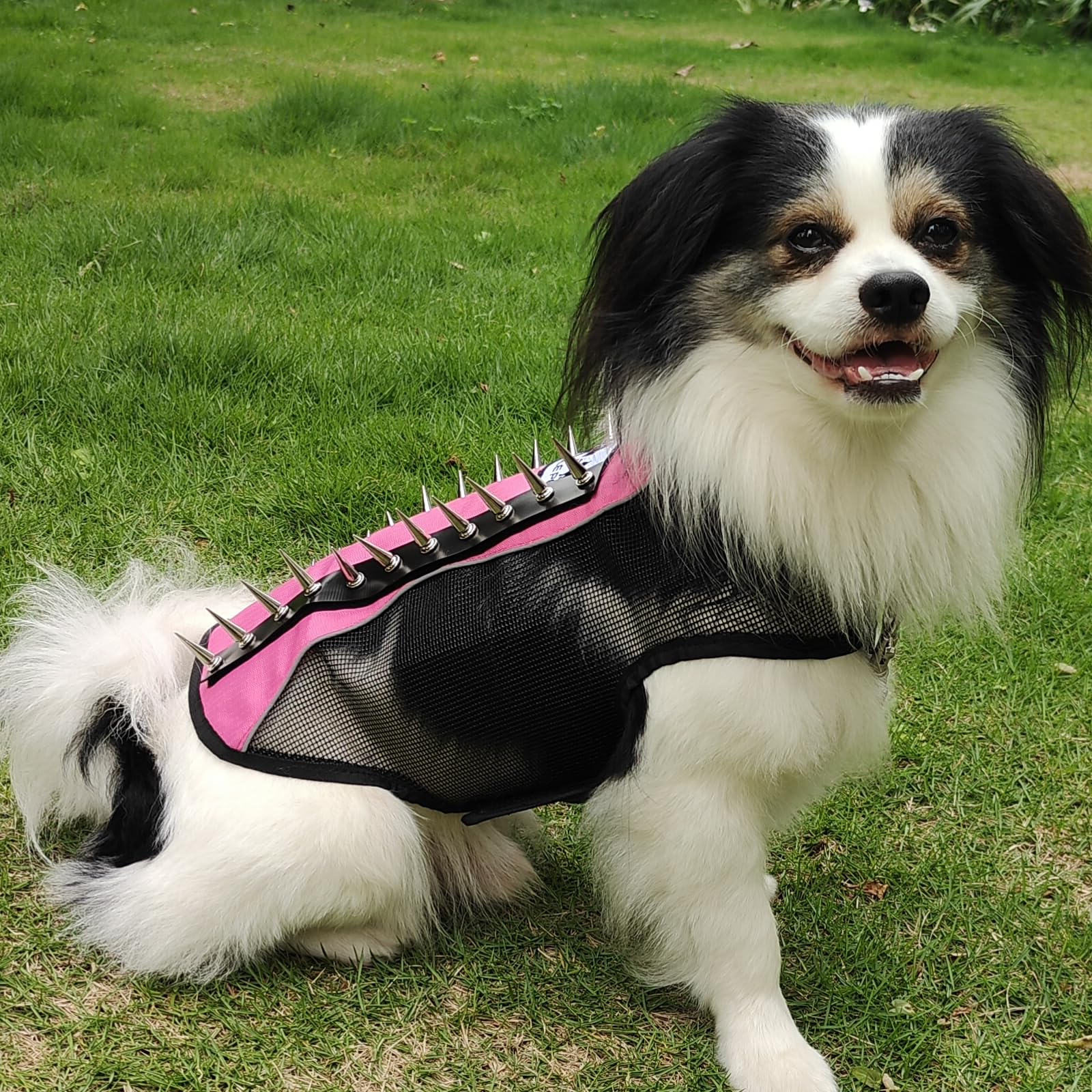 Spike Mesh Dog Harness Jacket - Summer Reflective Waterproof Coat for Small to Large Dogs - Pink Medium