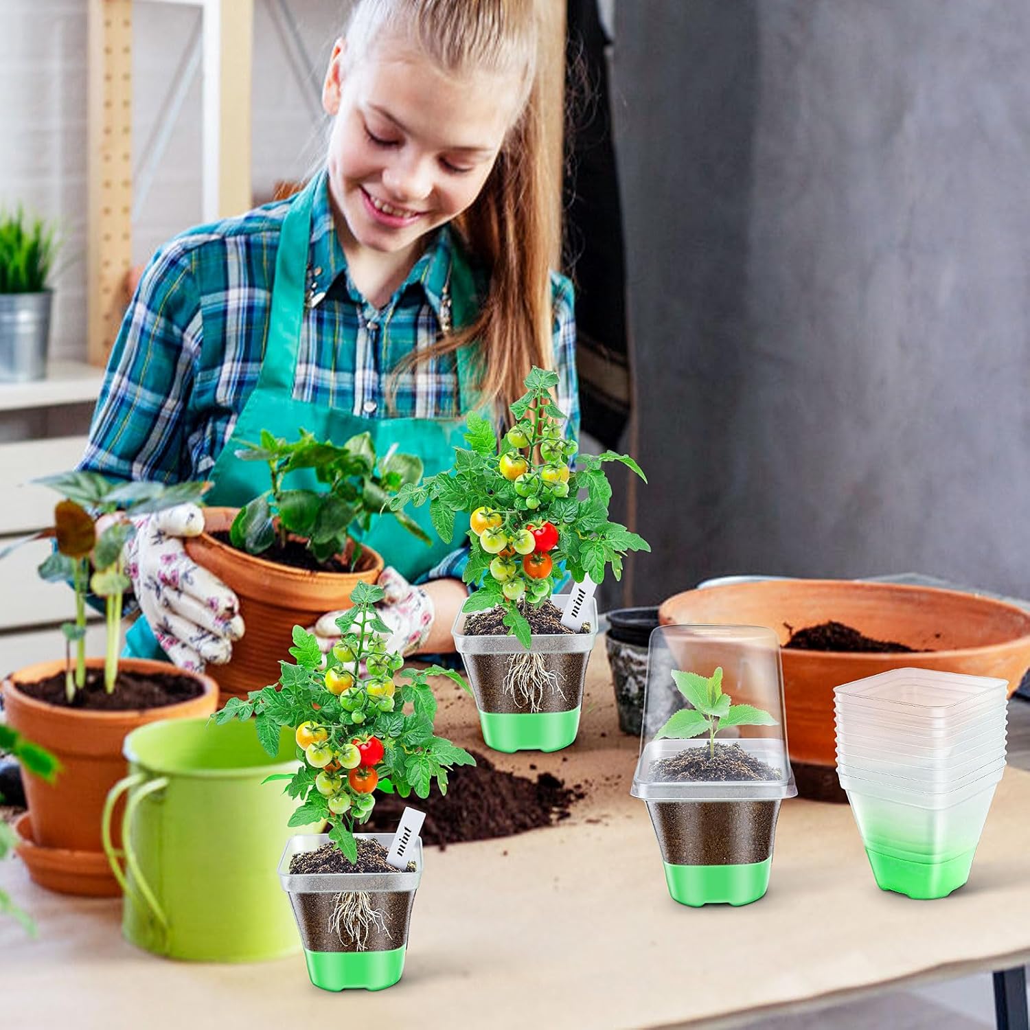 Sckee Clear Nursery Pots for Plants, 30 Packs Plastic Seed Starting Pots with Drainage Holes Plant Nursery Pots Silicone Base (Light Green, 3.1 inch with lids)