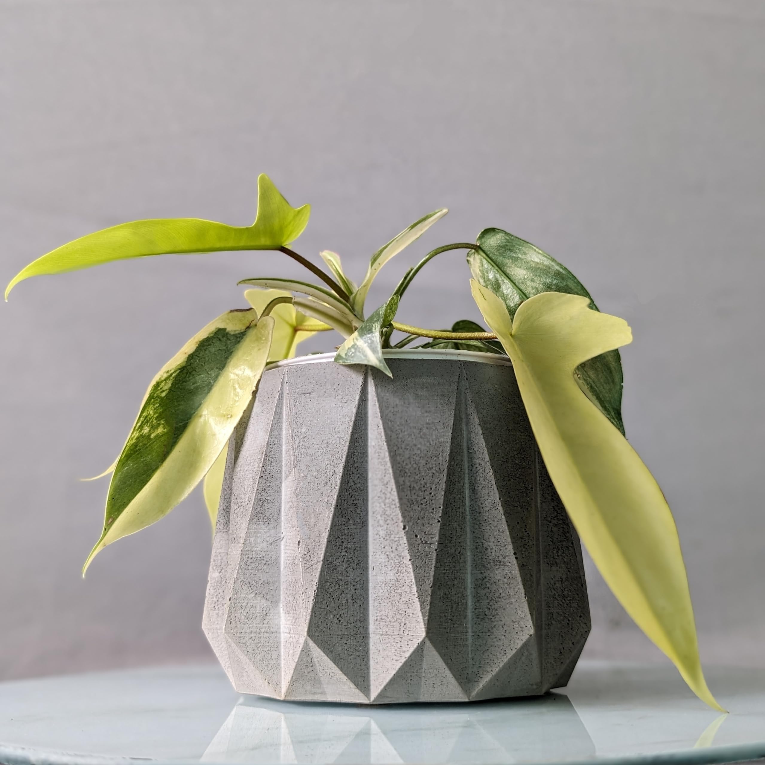 Little Jungle X CuteCrete Sage Concrete Planter for 3" - 4" Pots (Grey) | | Flower pots for Home Decoration | Balcony Decor | Garden (B0CPVC5KDJ) Amazon Price History, Amazon Price Tracker