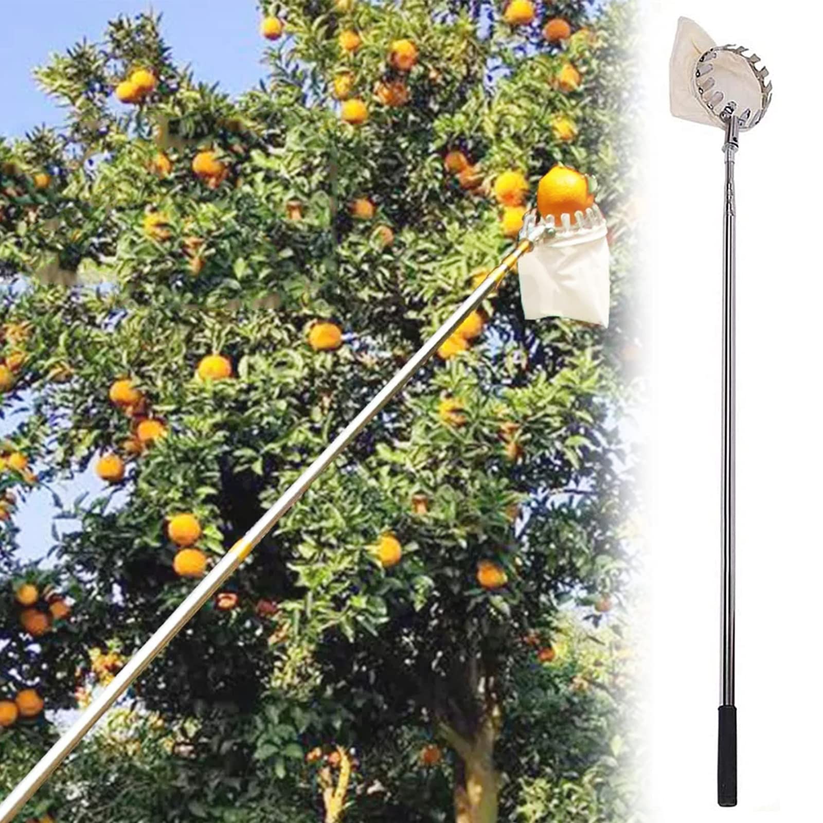 16 ft, Cueilleur de Fruits télescopique, Métal Cueille-Fruits avec Sac de Collecte, Outil de Cueilleur Récolteuses de Fruits Orange Pomme Outil de Cueillette de Jardin