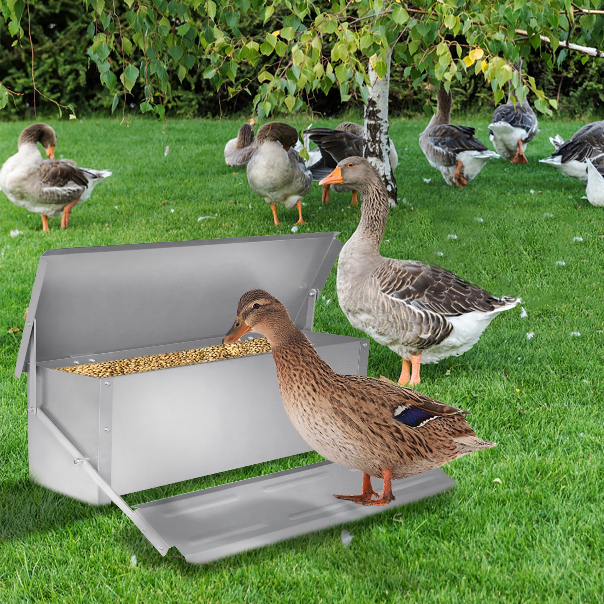 Comedero automático para gallinas de 10 kg, en acero galvanizado, comedero para aves con patas a prueba de ratas y cubierta impermeable para gallinas, patos