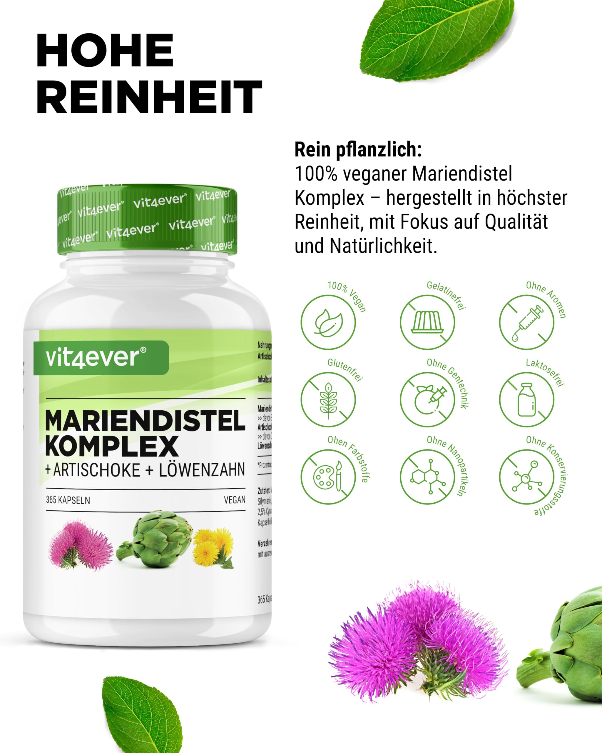 vit4ever Mariendistel Artischocke Löwenzahn Komplex - 365 Kapseln | 80% Silymarin, 2,5% Cynarin, laborgeprüft, vegan, hochdosiert