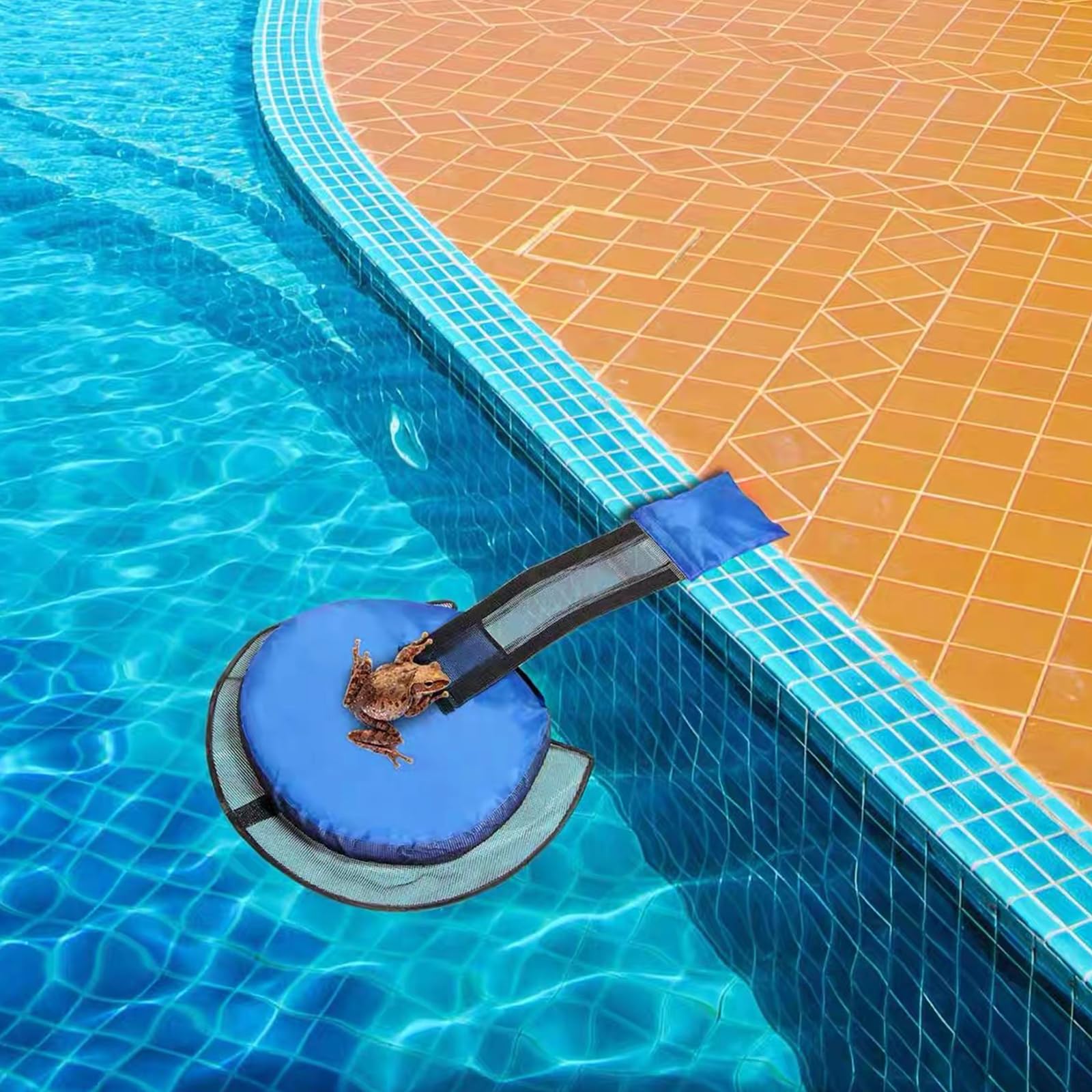Qooloo Rampa de Rescate para Piscina, Rescate de Animales, Accesorio de Salida