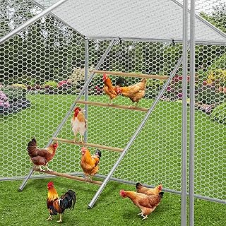 GarveeLife Chicken Perch for Coop, Chicken Roosting Bars Perfect for Backyard Poultry, Farm Roost Toys for Hen Coop Accessories, Easy to Assemble & Clean, 55 in L x 39 in W