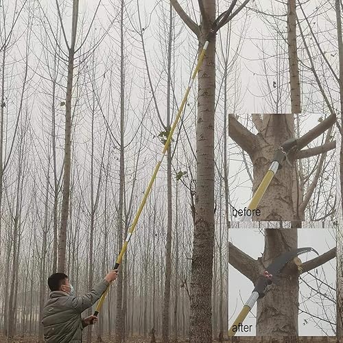 Miniatura 8 de Podadora de poste de árbol de 30 pies, mango duradero para recortar árboles, ramas manuales para herramientas de jardín, podadoras, sierras de poste