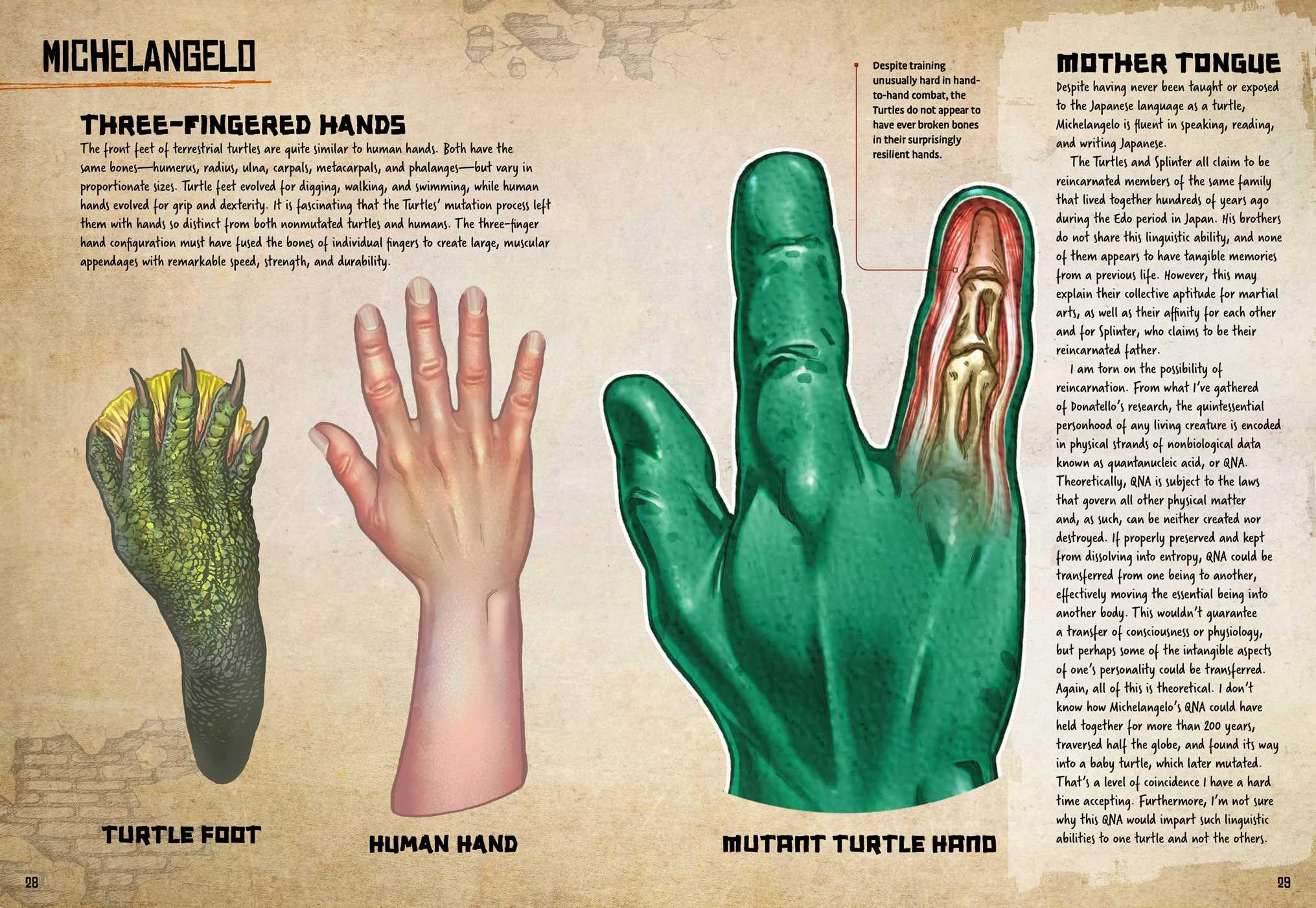 Teenage Mutant Ninja Turtles: Anatomy of a Mutant