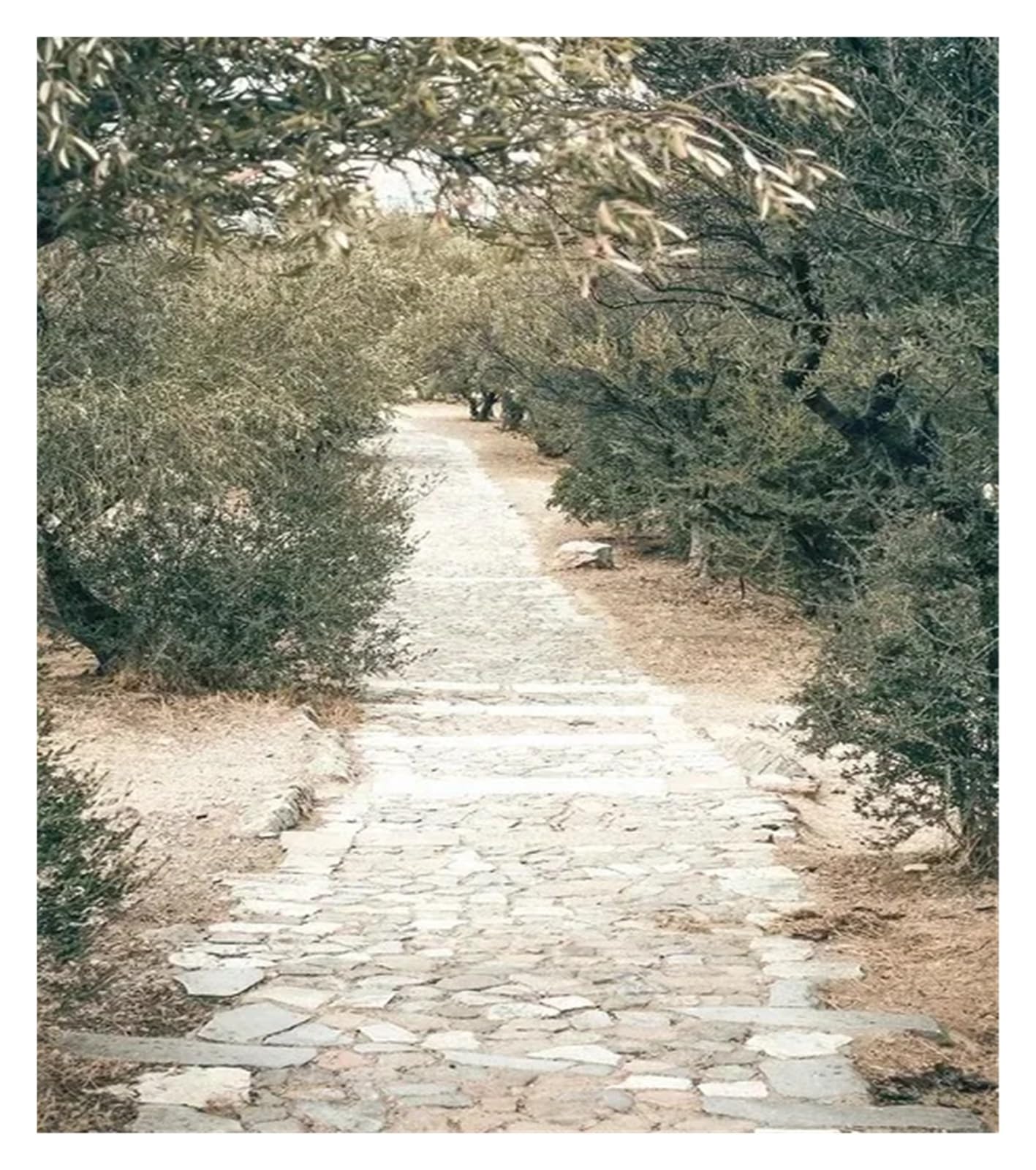 Cuadro en lienzo de paisaje de Grecia (20x30 cm) para decoración de pared