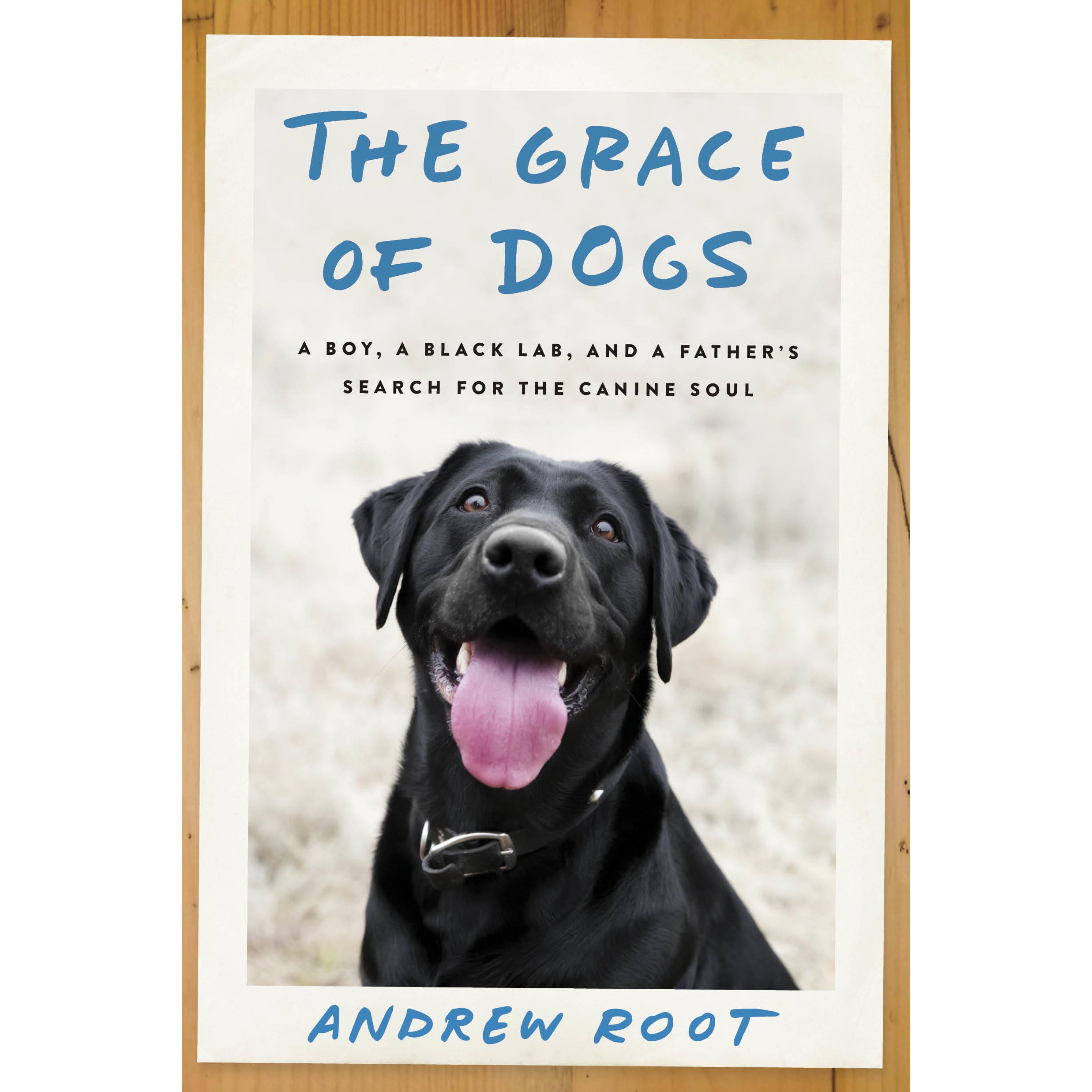 Cover art for The Grace of Dogs