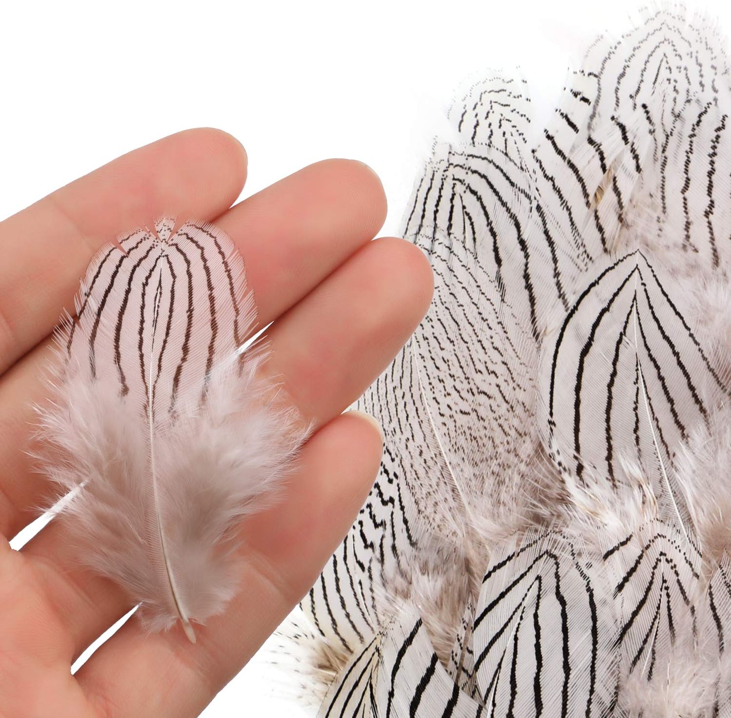 180Pcs 6 Styles Assorted Craft Feathers, Mwoot Natural Chicken Feathers for DIY Earring Wings Dream Catcher Crafts Activities Wedding Home Decoration Party