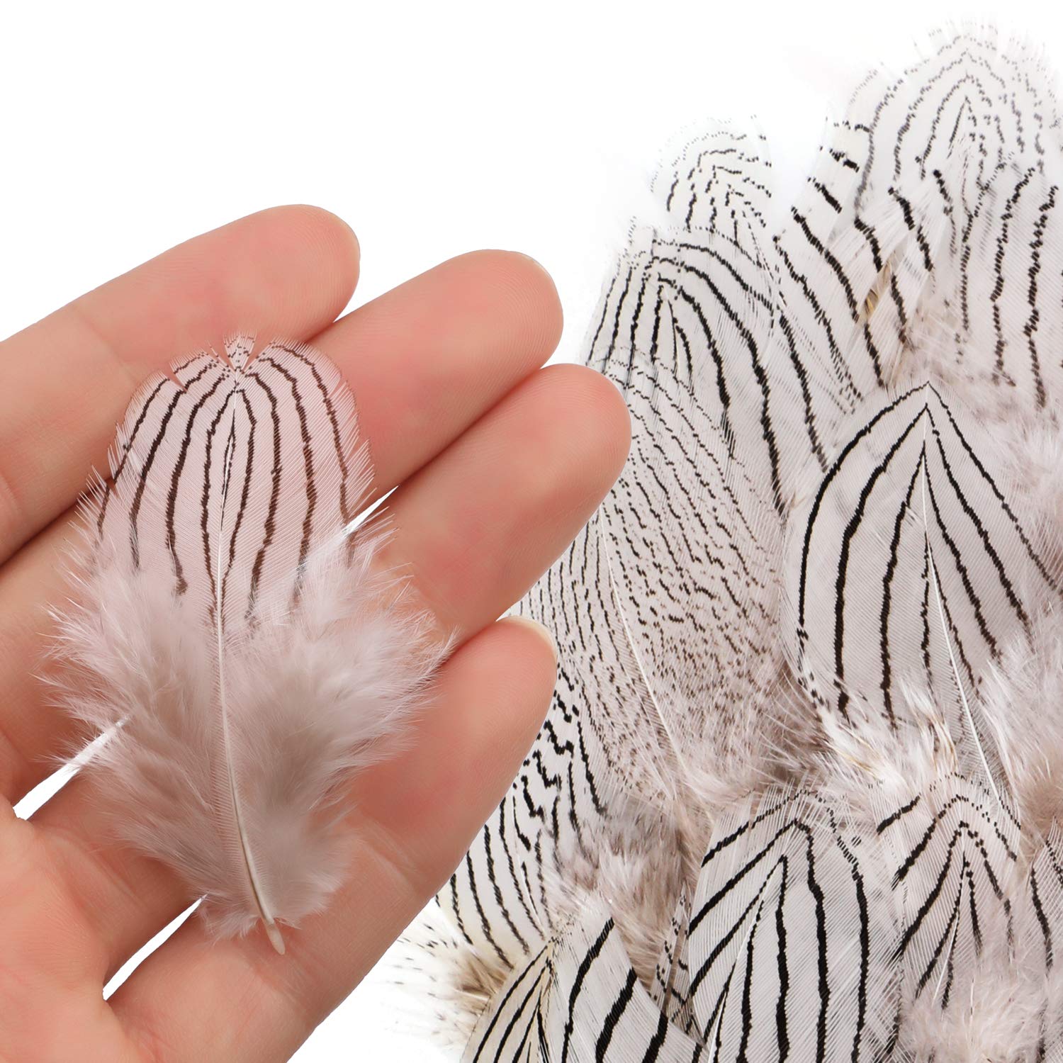180Pcs 6 Styles Assorted Craft Feathers, Mwoot Natural Chicken