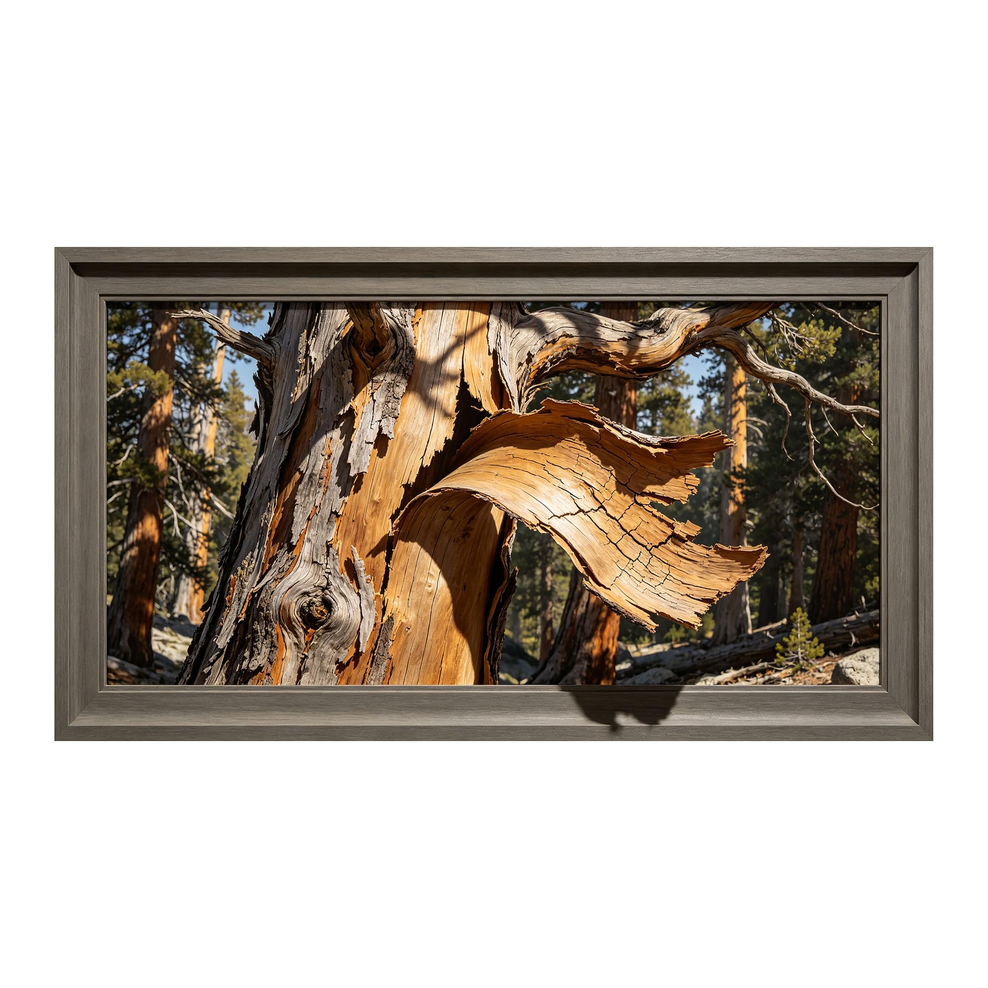 Yzpallescene 3D Framed Wall Art 50cm×100cm Ancient Pine Tree Bark Realistic Wilderness Textured Panoramic Large Size SelfAdhesive Removable Wall Decor Prints Artwork for Living Room Bedroom Office