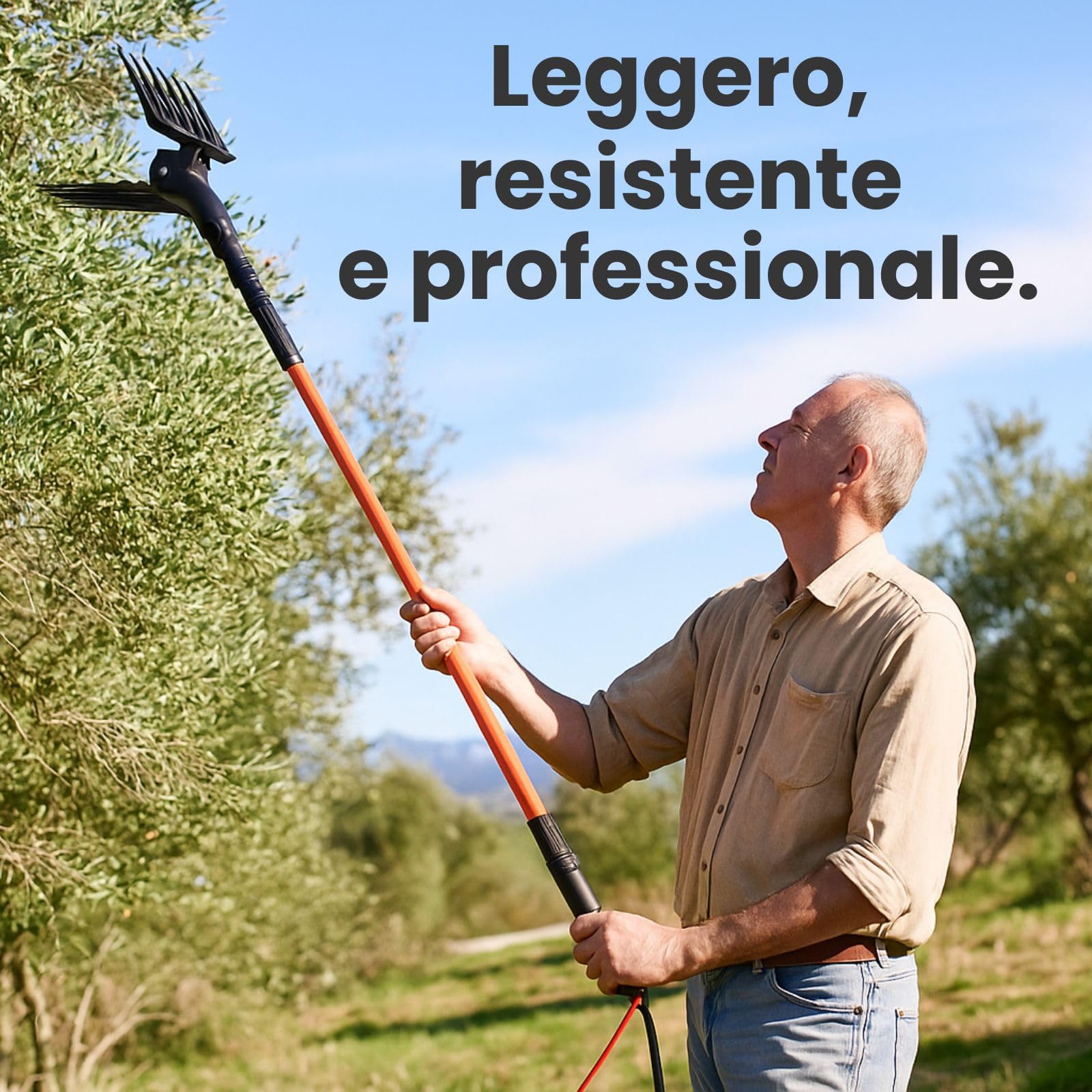 Generico Abbacchiatore Olive Elettrico 12V con Asta Telescopica 2-3m, 800 Battiti/Min, Pettini in Tecnopolimero – Scuotitore Professionale Leggero e Potente per Raccolta Olive