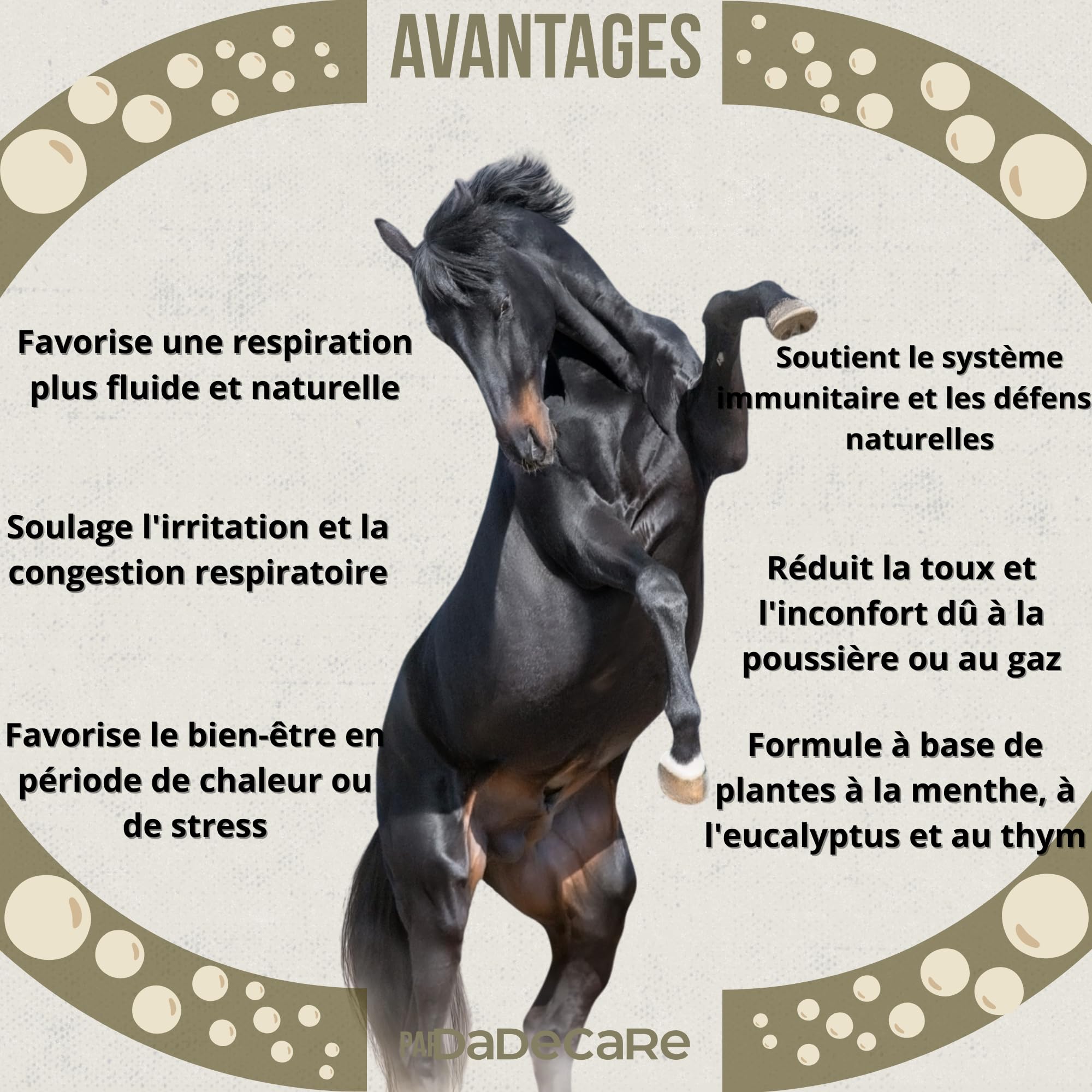 Broncare - Respiratoire Chevaux 1L - Extraits de Menthe, Eucalyptus, Thym et Herbes - Renforce immunitaire et bien-être pulmonaire - Idéal dans les environnements poussiéreux, chauds ou