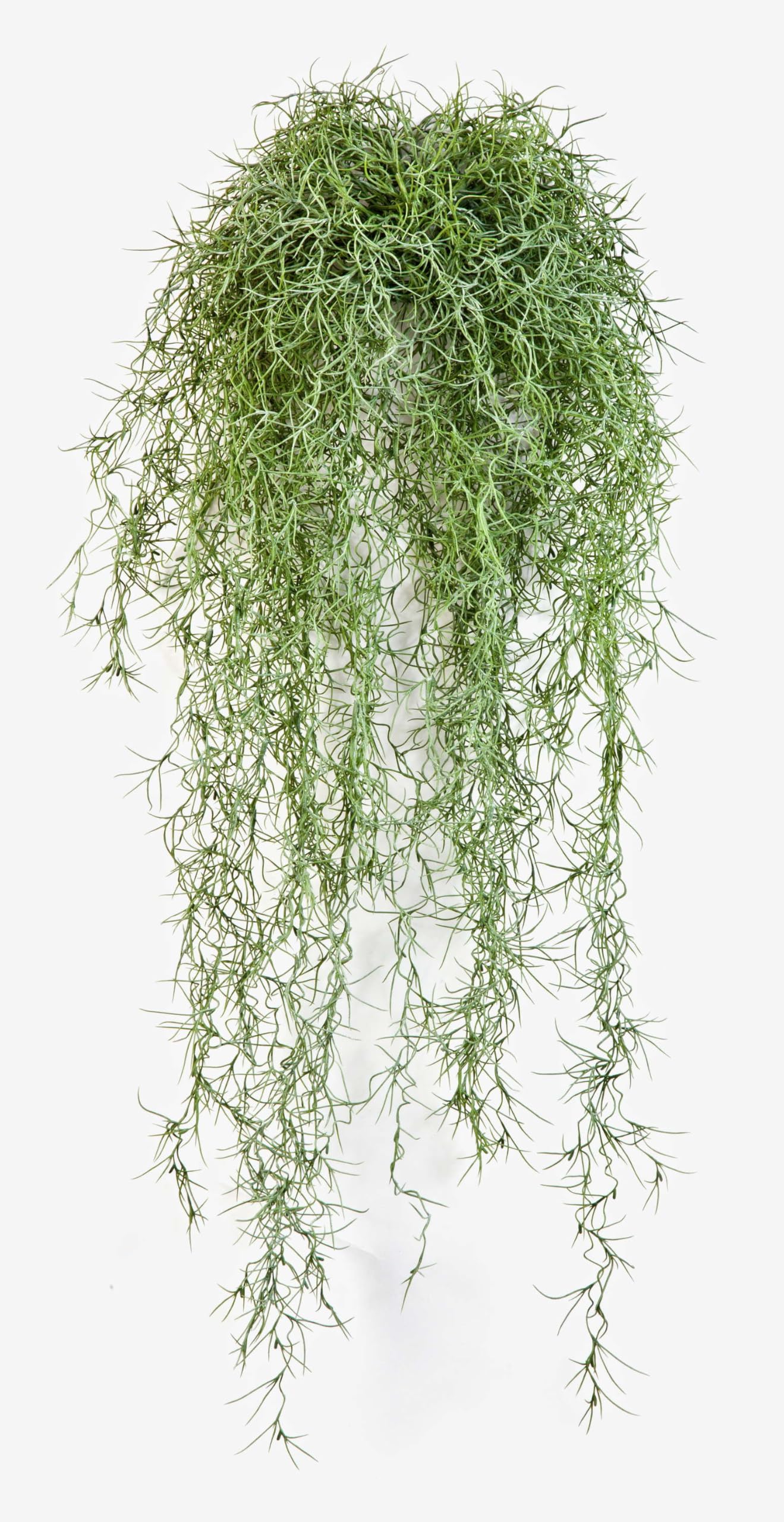 artplants.de Viticcio di Tillandsia Usneoides Artificiale IRMENA, 80cm