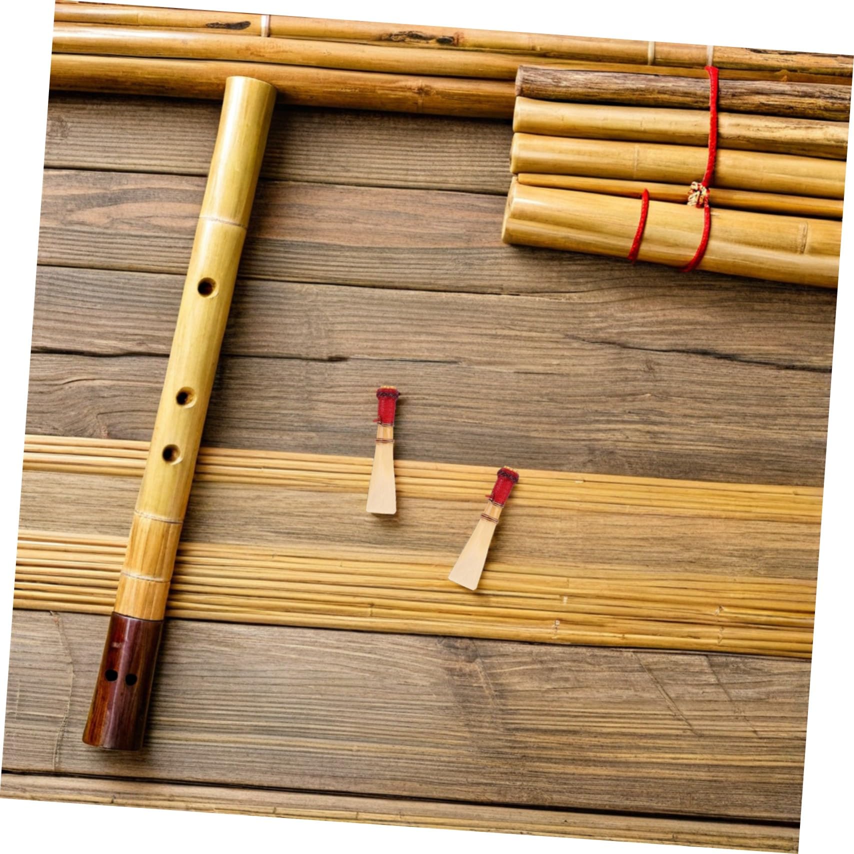5 Pezzi Ance Naturali Medie per Bassoon Ricambi Resistenti per Strumenti Fiato con Custodia Protettiva Accessori per Musicisti Principianti e Professionisti