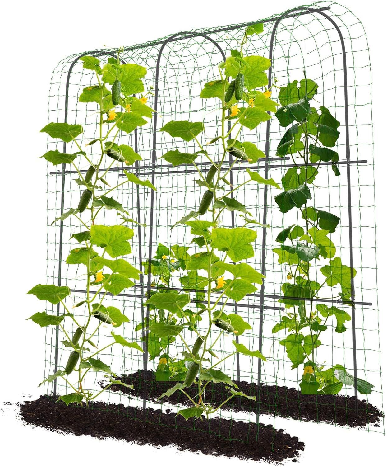 DoCred 71in Tall Metal Plant Support Trellis for Climbing Vine Vegetable/Fruit/Flower Outdoor Yard Lawn Garden Arch Tunnel Trellis