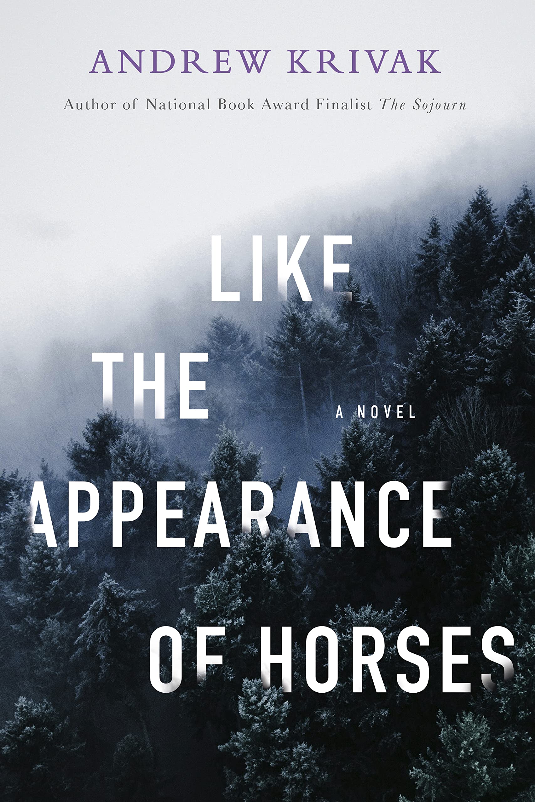Buy Like the Appearance of Horses: New Zealand Photographs 2012-2022 — BookShops.in