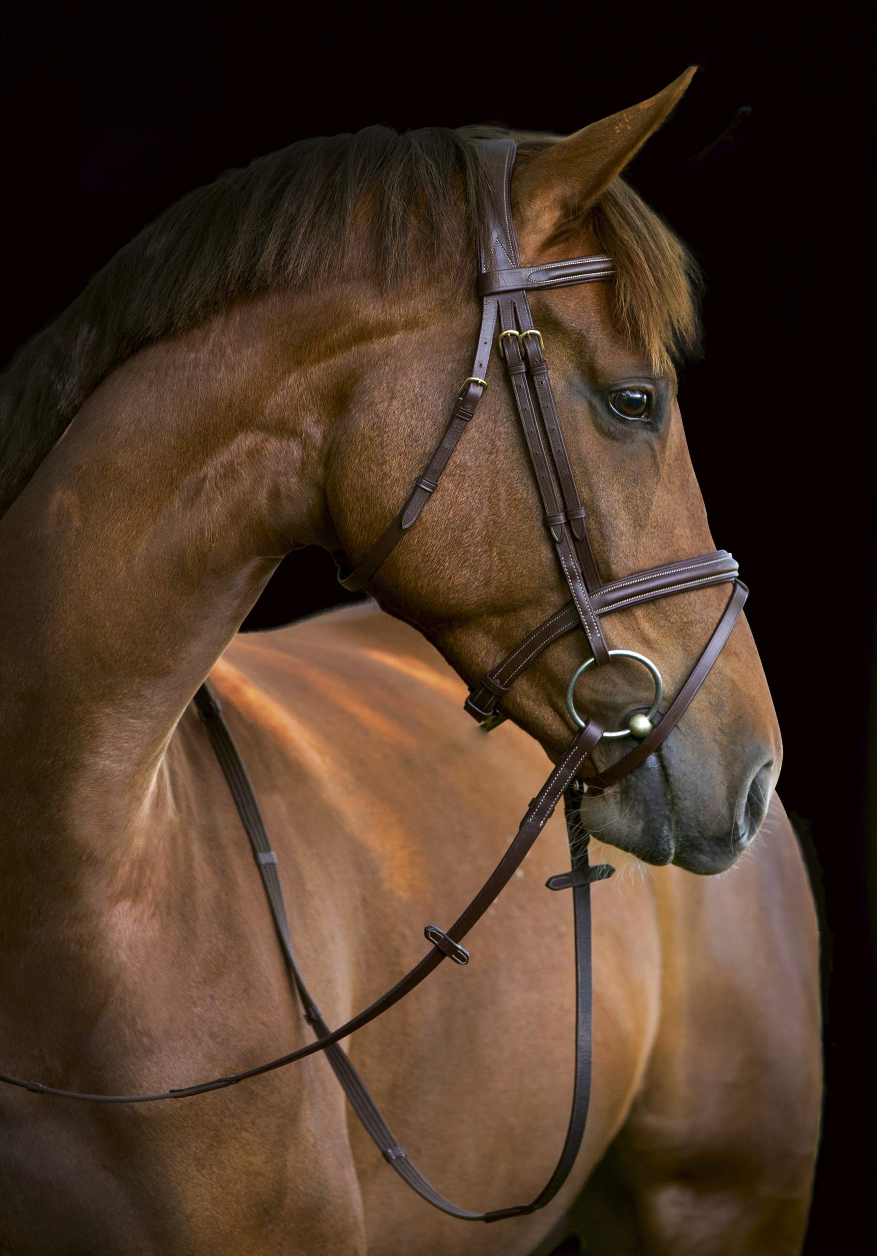 Kerbl Briglia Classic Pony w Pelle Marrone