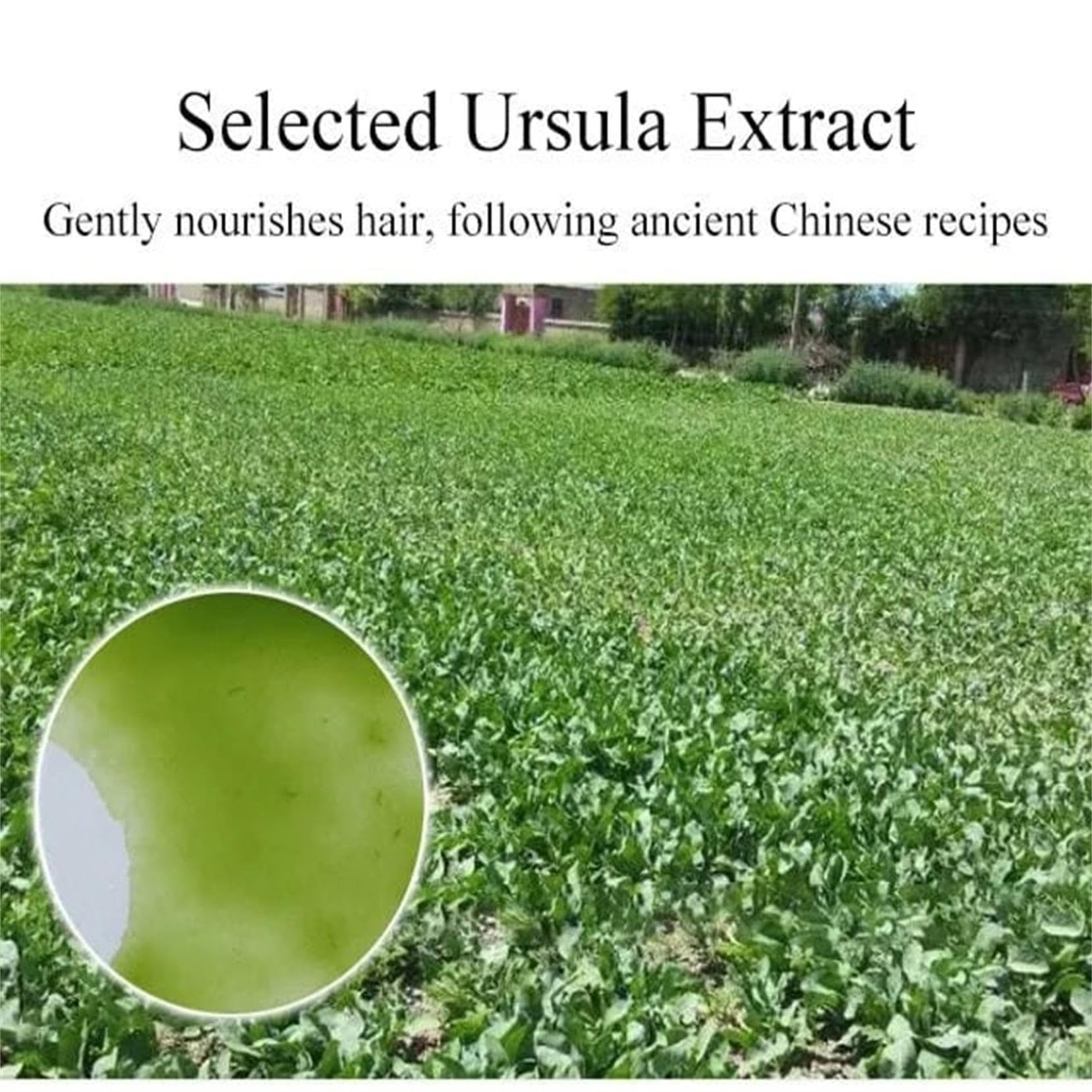 Ekstrakt z trawy Usma z Xinjiangu, serum do wzrostu brwi, pielęgnacja trawy Usma, płyn do wzrostu rzęsek do grubych brwi, długich rzęs, wzrostu brody i pełnej linii włosów (1 sztuka)
