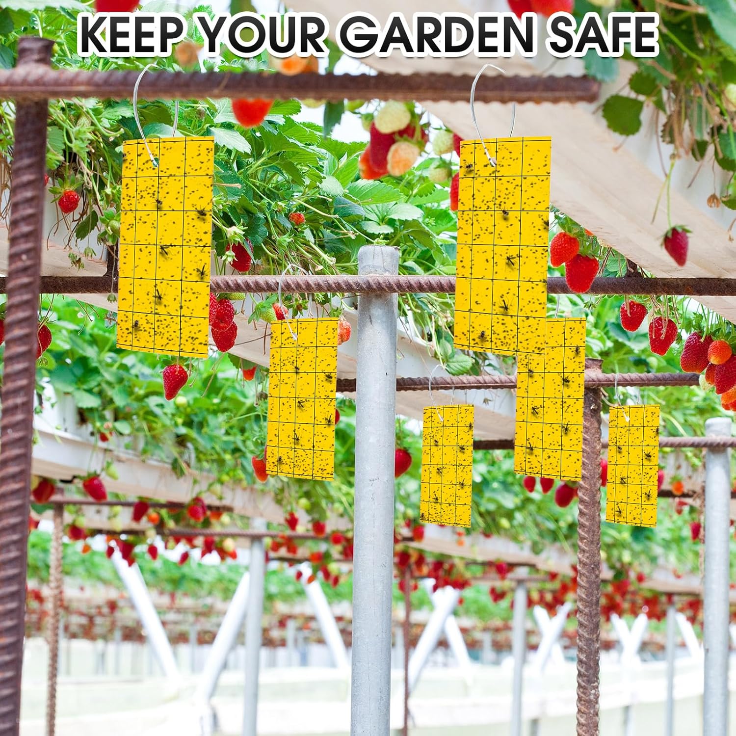 Qualirey 100 Pcs Sticky Trap for Gnats Dual Side Sticky Fruit Fly Trap with Tie Plant for Flying Insect Fungus Bugs Flying Catcher for Indoor (6'' X 8'')