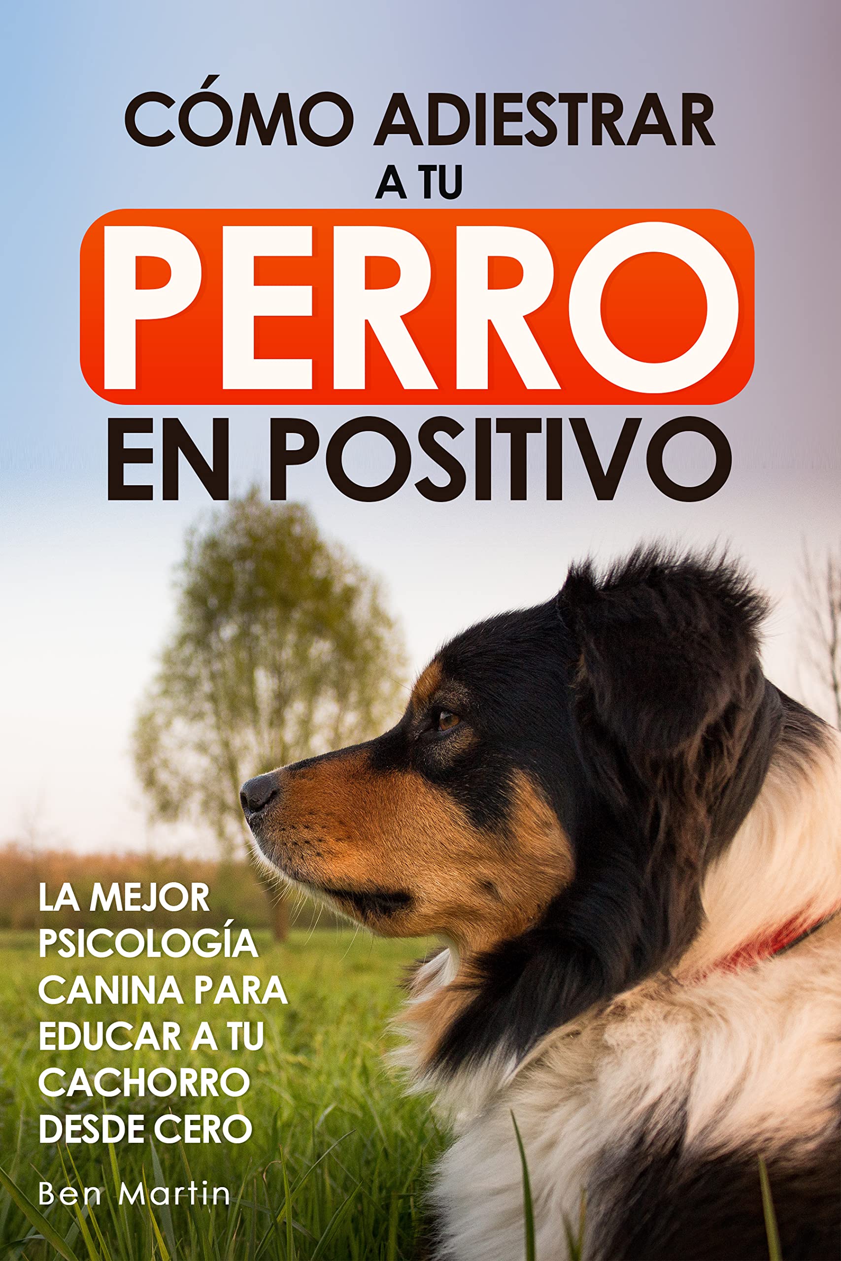 Cómo Adiestrar a tu Perro en Positivo: La Mejor Psicología Canina para Educar a tu Cachorro desde Cero: Guía Completa de Técnicas de Adiestramiento y Condicionamiento Canino