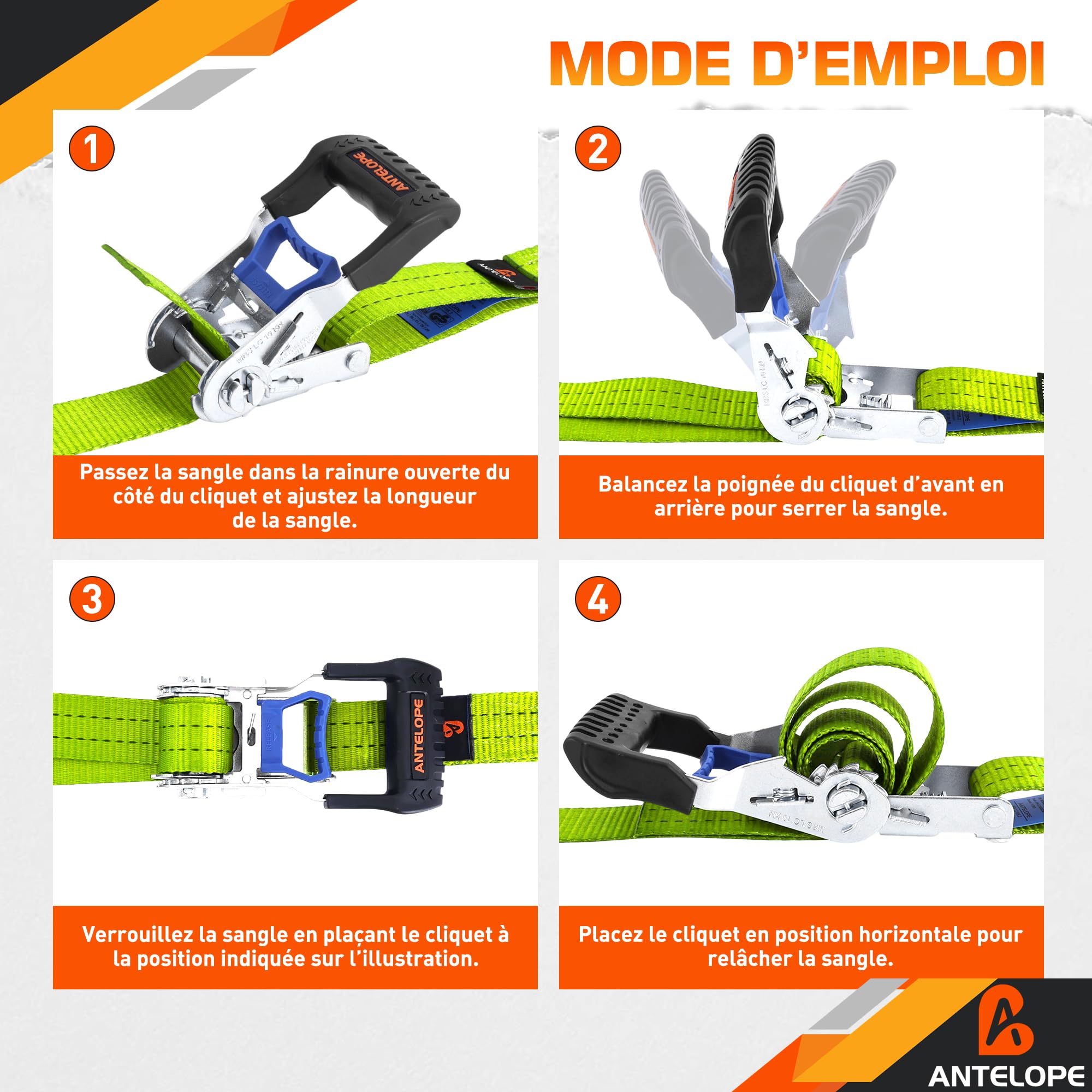 A ANTELOPE 4 cinghie con cricchetto | 6 m | 35 mm | Cinghie di ancoraggio in due pezzi con cricchetto e gancio 2t (2000 kg), set di sicurezza del carico cinghie per moto, auto, verde