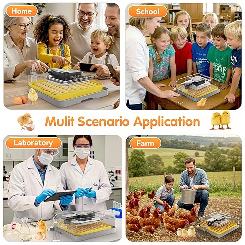 Miniatura 7 de Incubadora para incubar huevos: capacidad de 48 huevos, girador automático de huevos 2026 y sistema de control de humedad de precisión automática